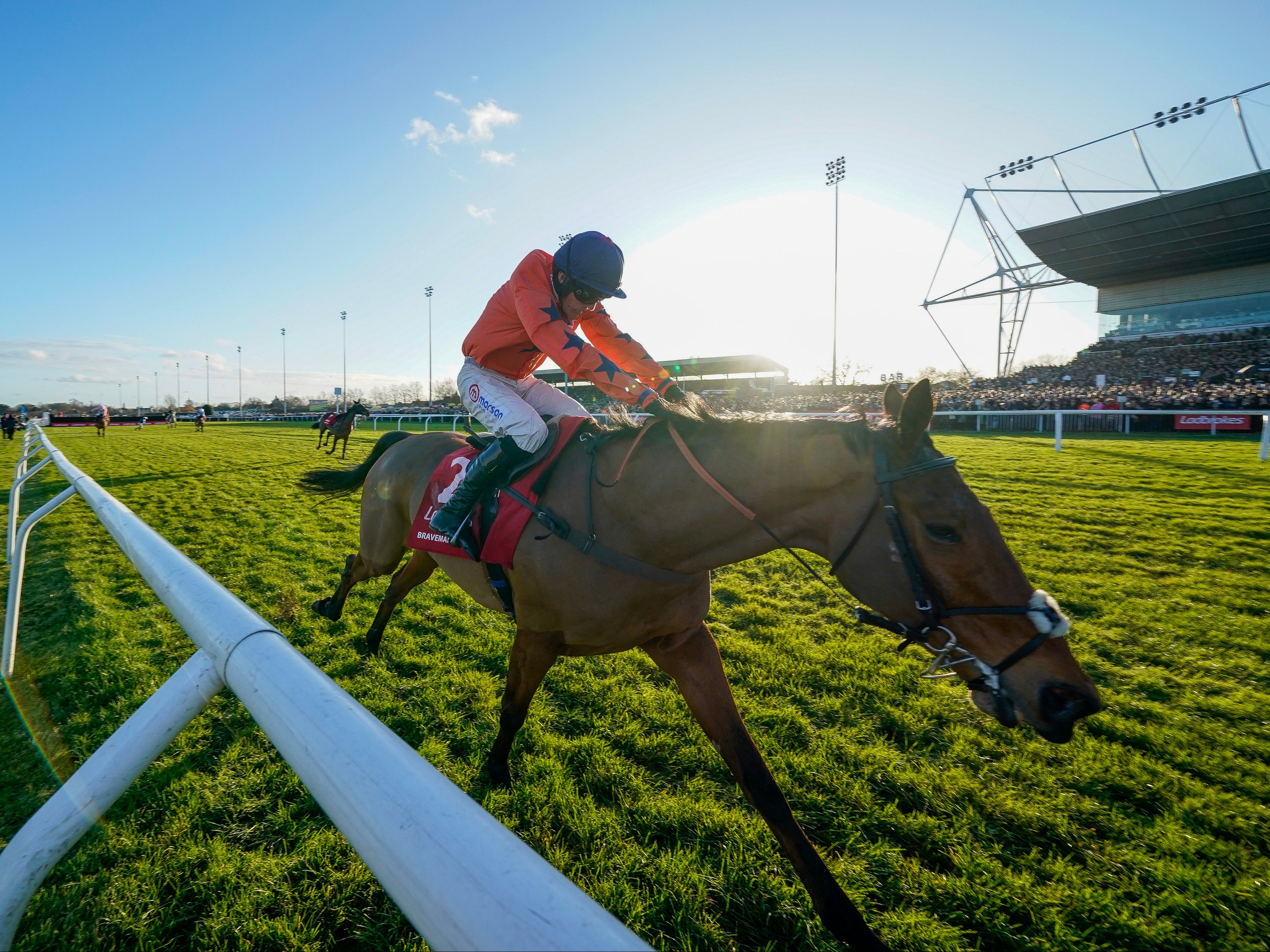 Bravemansgame was much-fancied at Aintree after finishing as runner-up in the Cheltenham Gold Cup