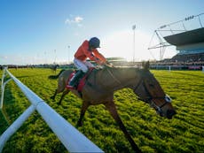 Favourite banned from Grand National meeting after owner’s ‘serious regulatory issues’