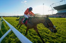 Favourite banned from Grand National meeting after owner’s ‘serious regulatory issues’