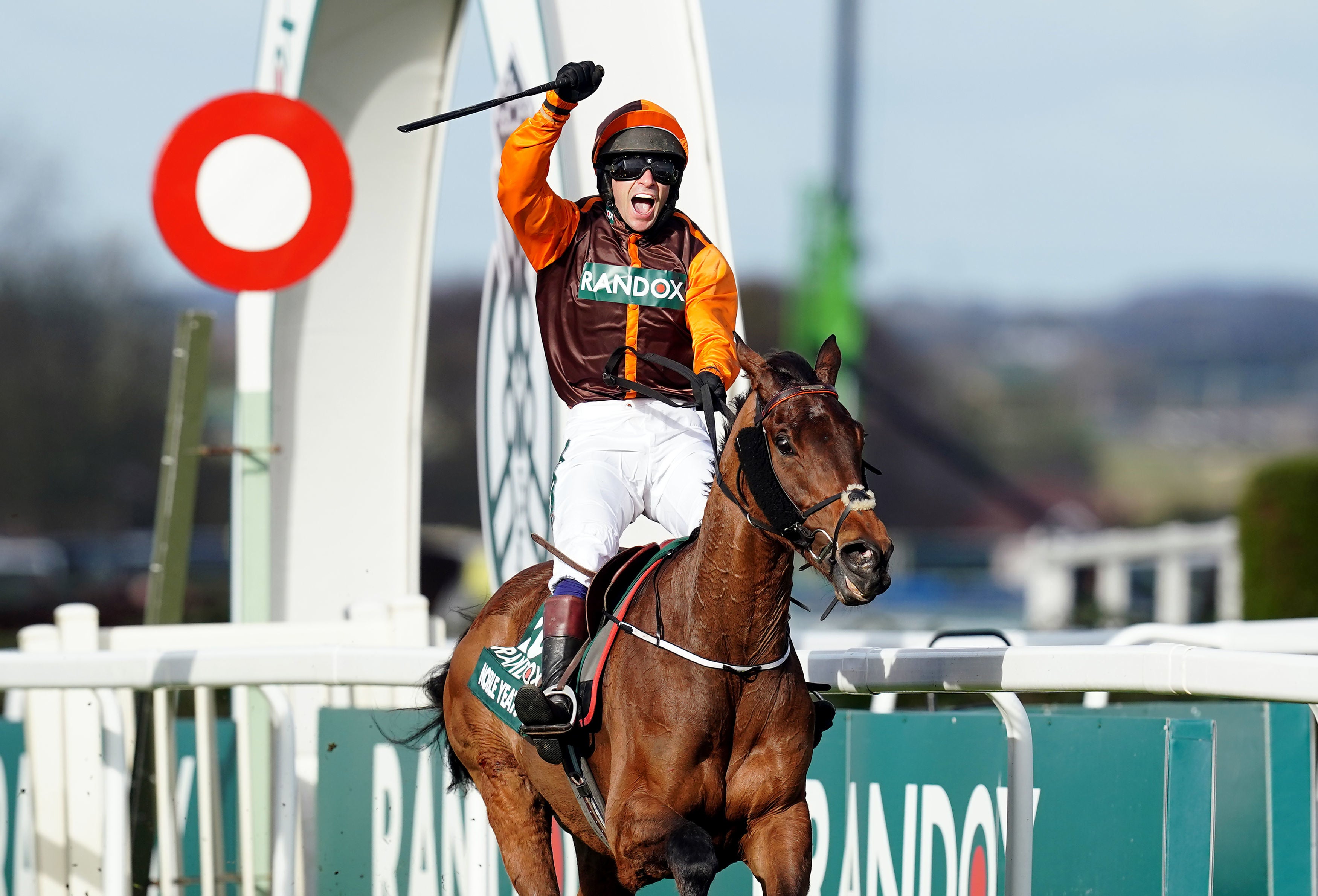 How many horses race in the Grand National?