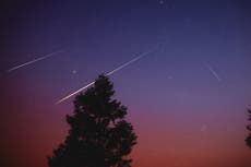 Eta Aquariid meteor shower 2023: Hundreds of ‘shooting stars’ to light up night sky