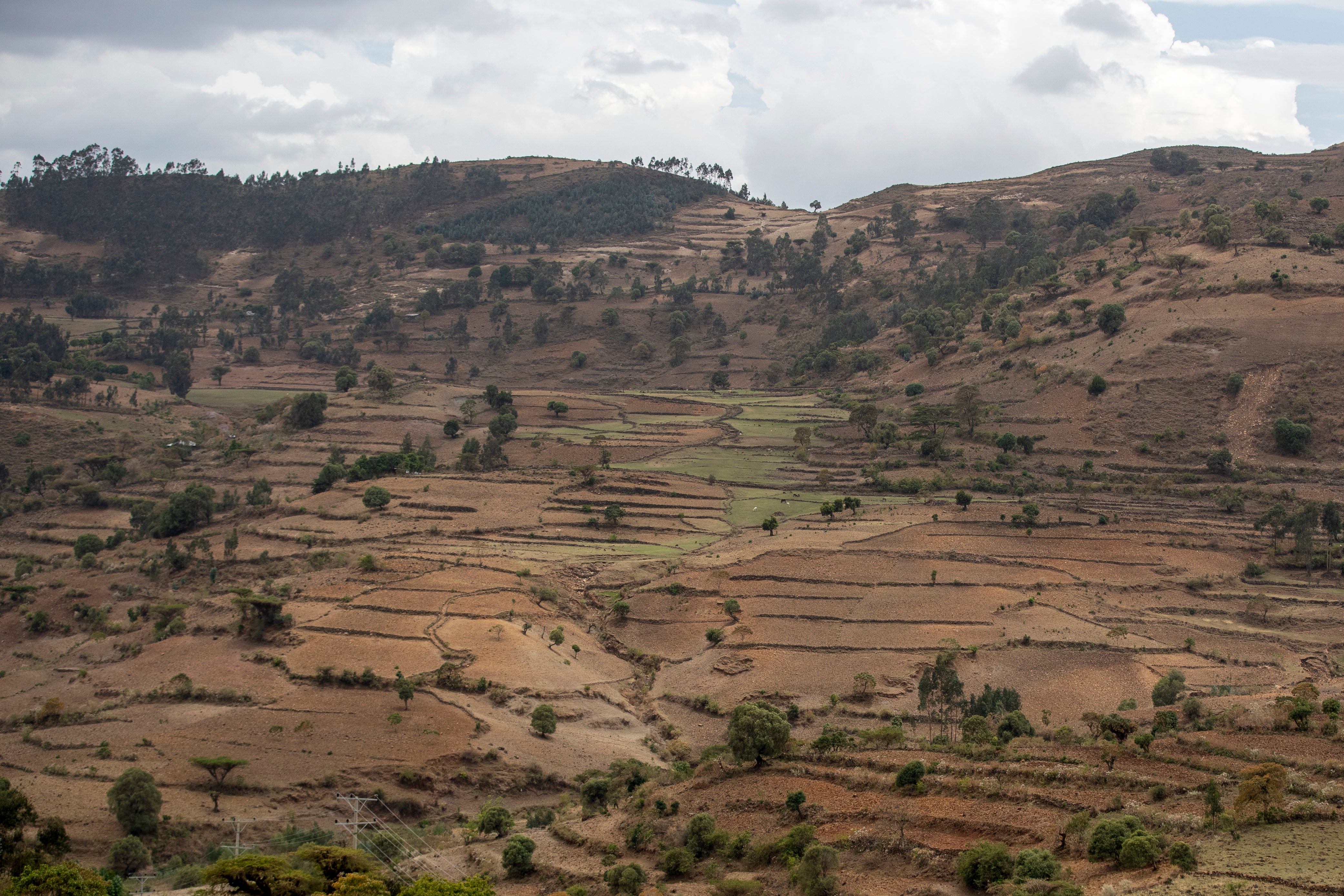 Ethiopia Tigray Forcible Displacement