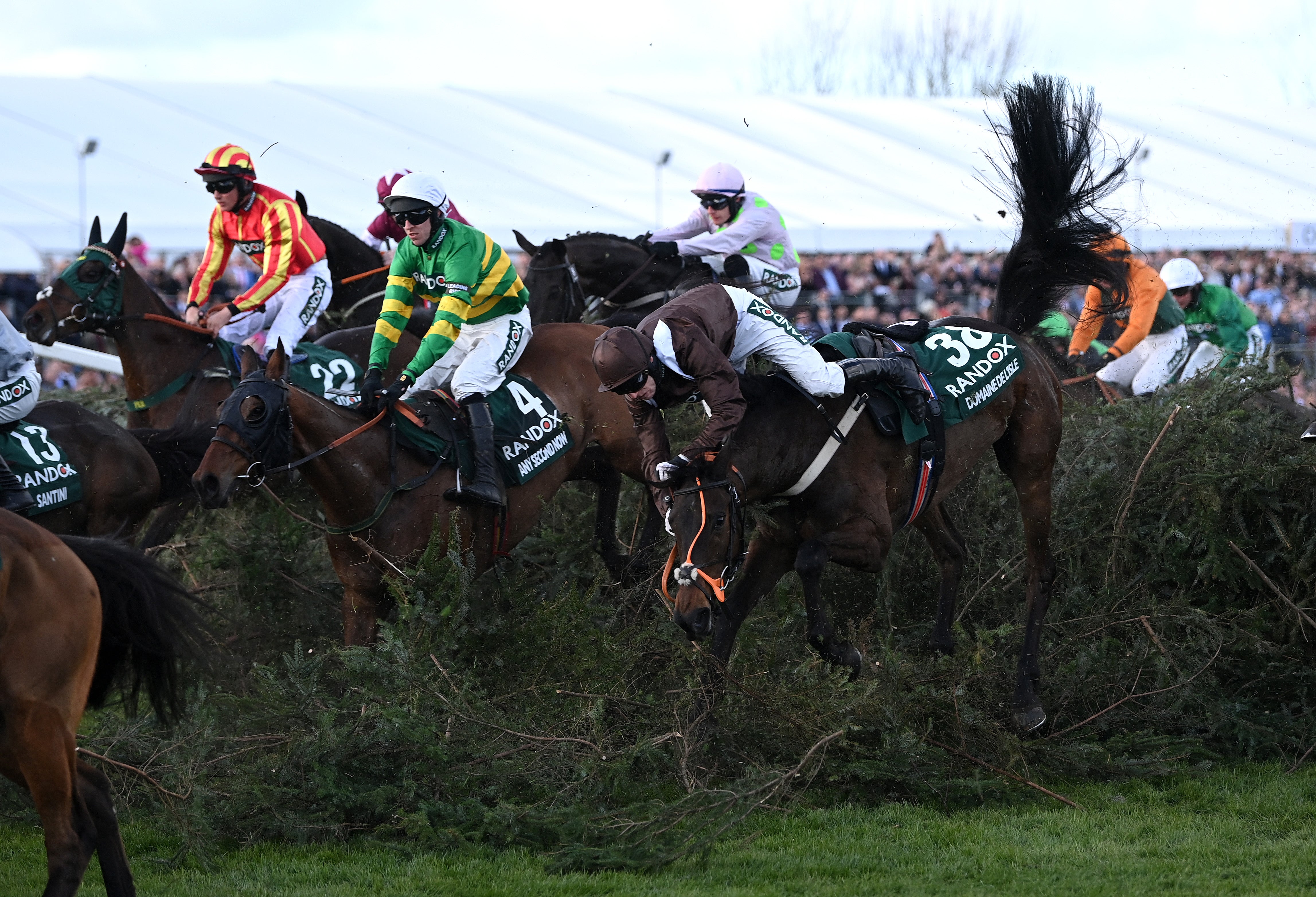 ‘Horse racing is dying’: Grand National protest planning to disrupt Aintree race