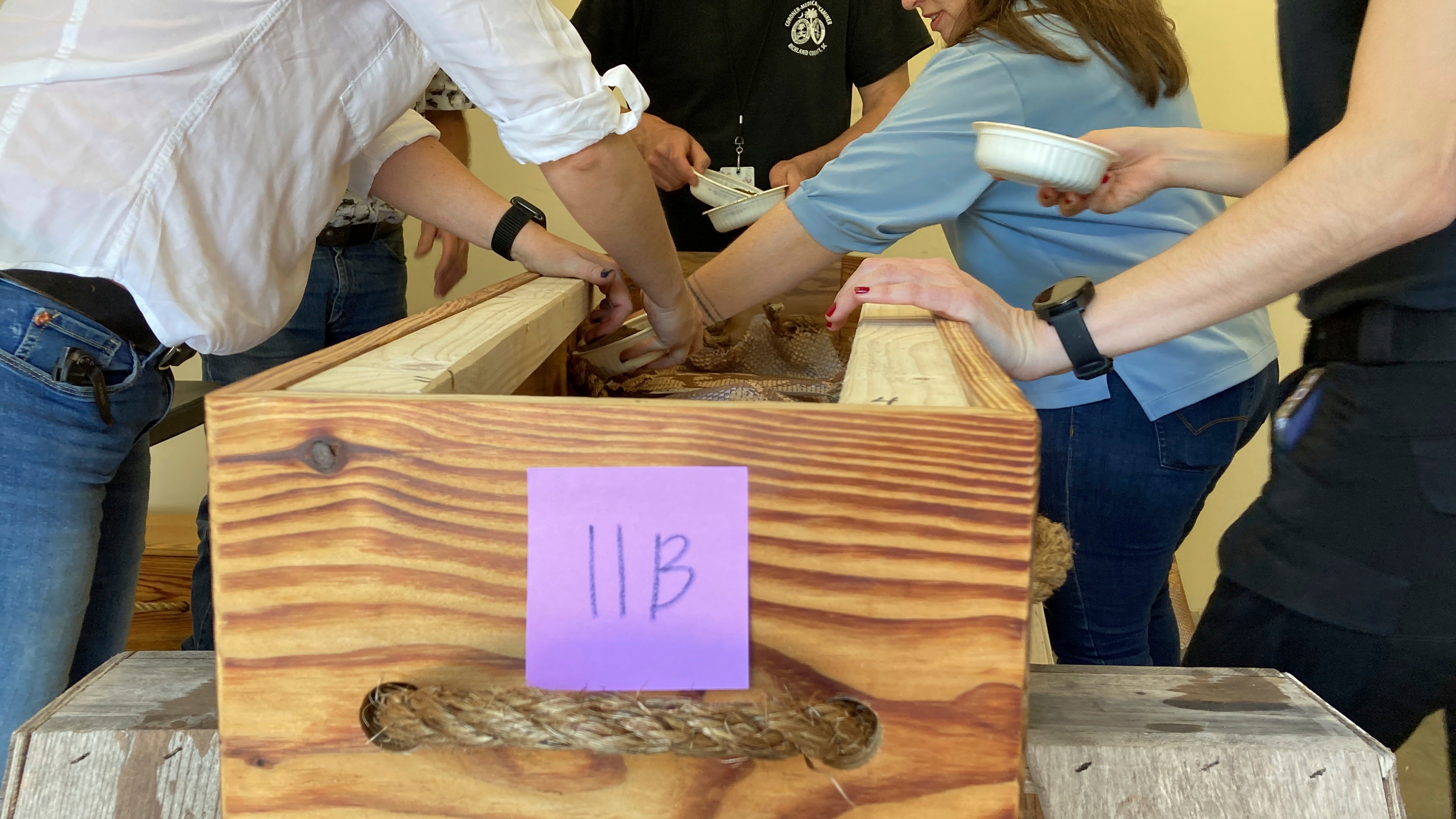 Revolutionary War Burial