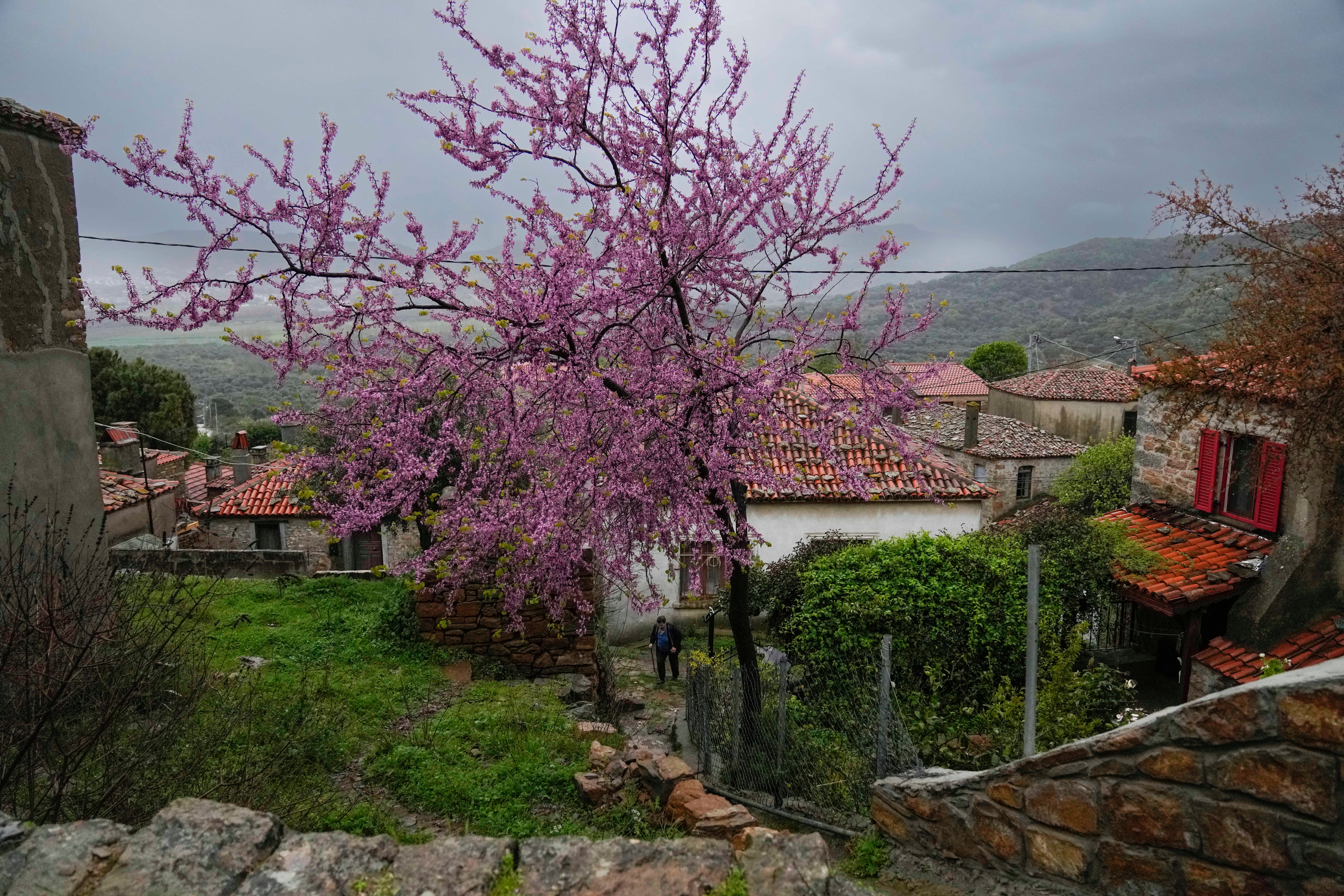 Turkey Gokceada Island Orthodox Easter Photo Gallery