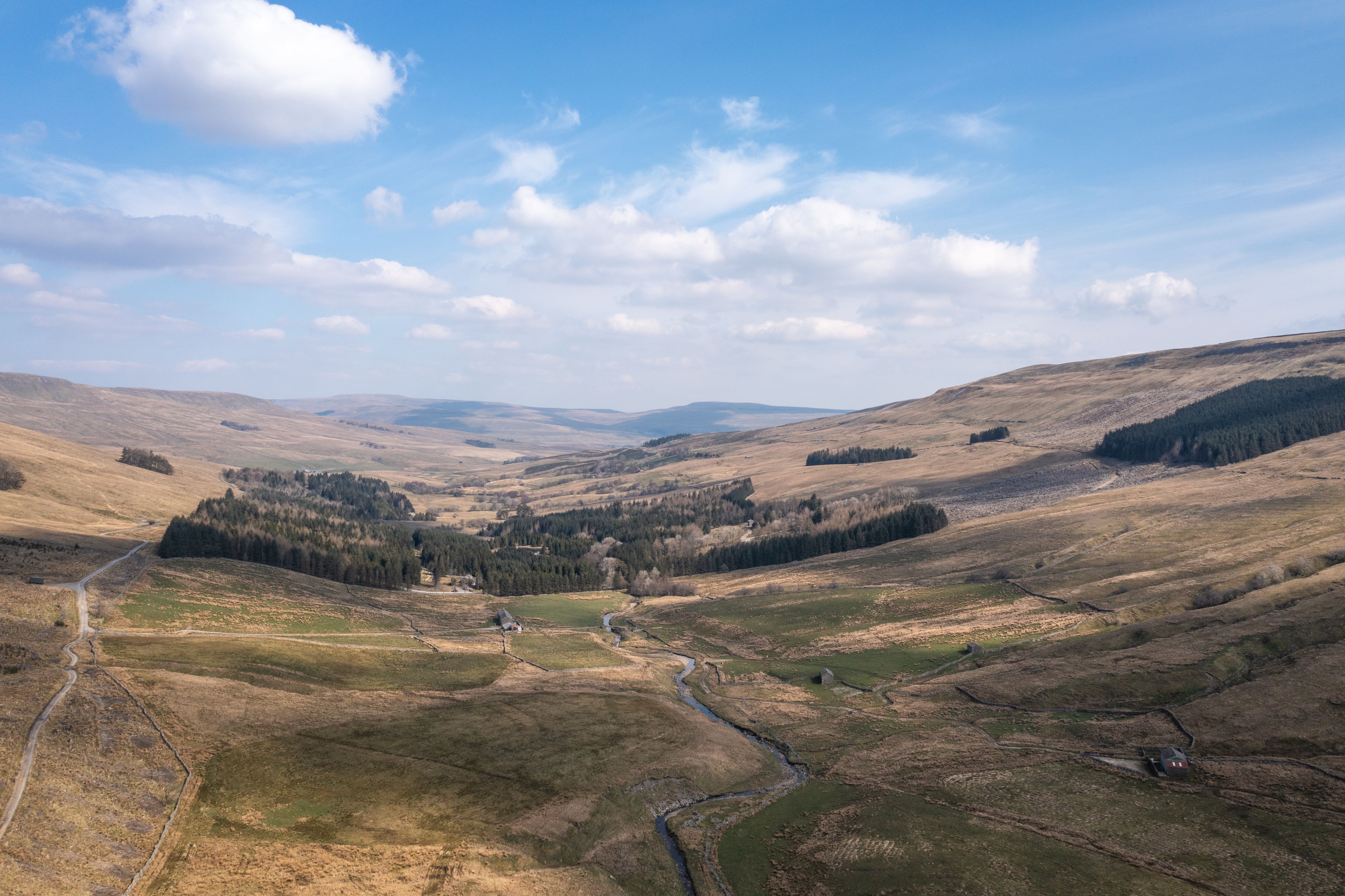 Snaizeholme in the Yorkshire Dales is part of the Woodland Trust’s plan to restore forests across the north of England (James Reader/Front Row Films/WTML/PA)