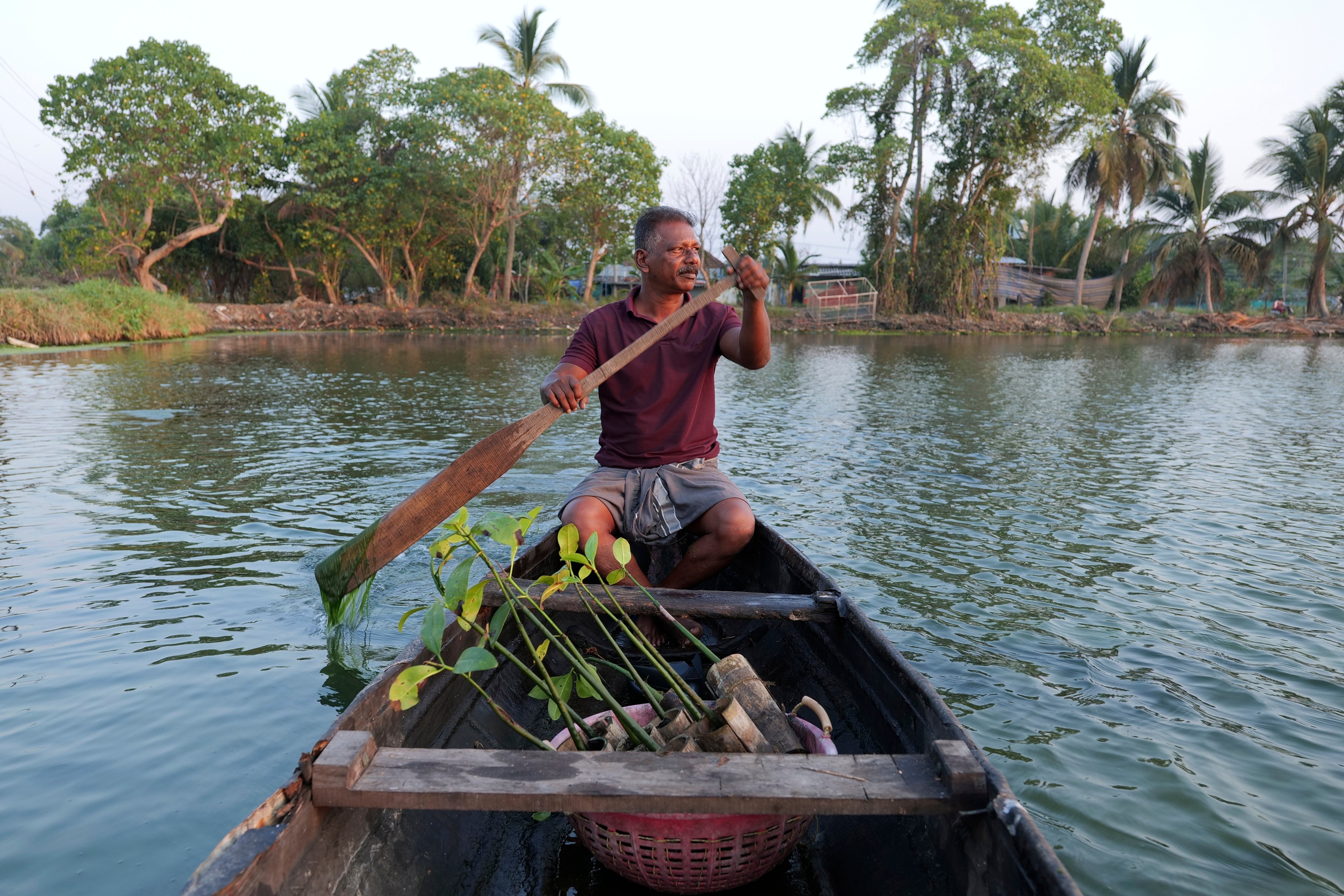 Climate India Mangrove Man
