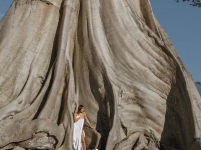 Ni Luh Djelantik, who describes herself as an entrepreneur, posted photos of the Russian tourist (pictured above) who posed nude in front of the sacred, ancient tree in Bali