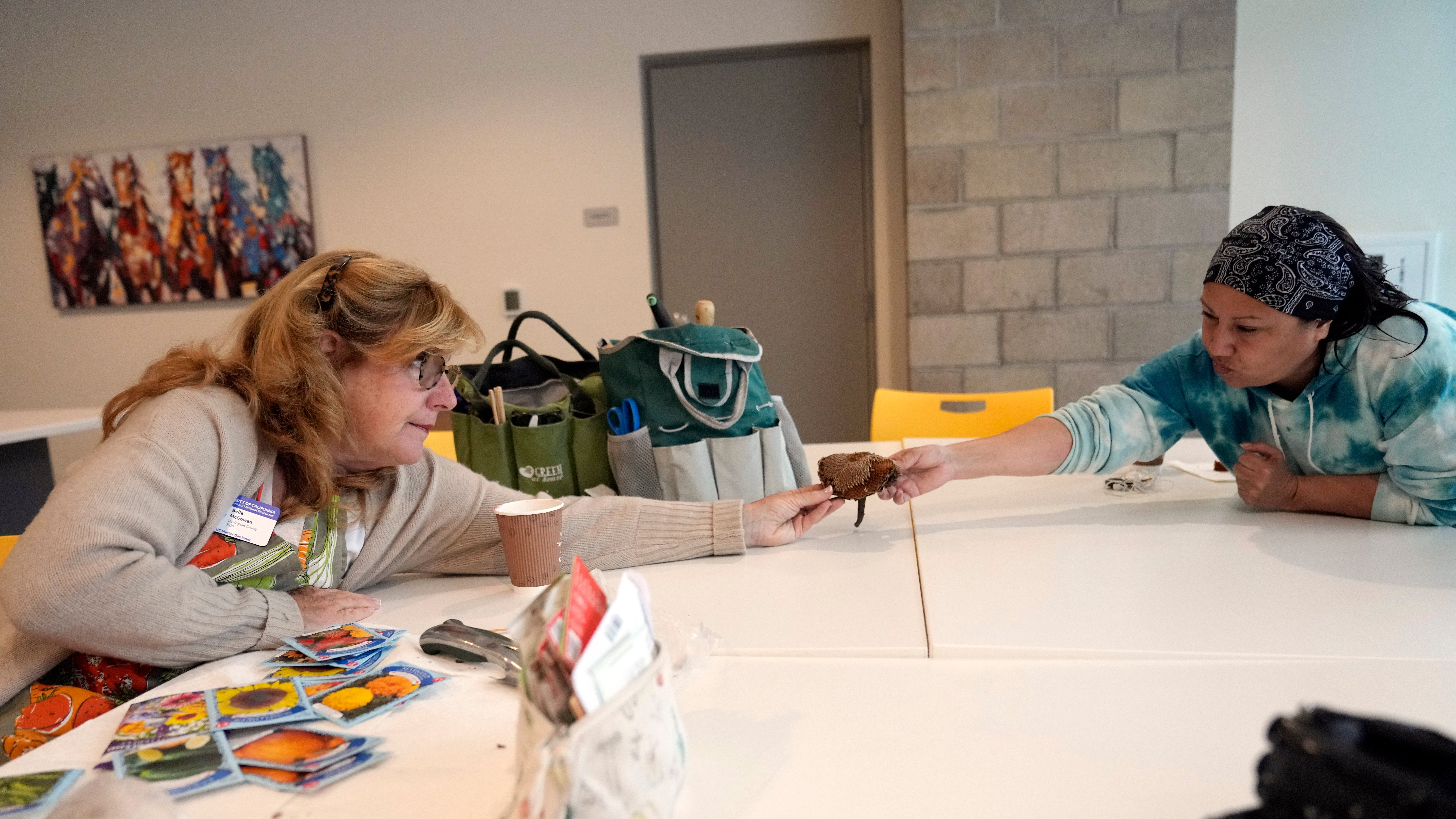 Volunteering Profiles