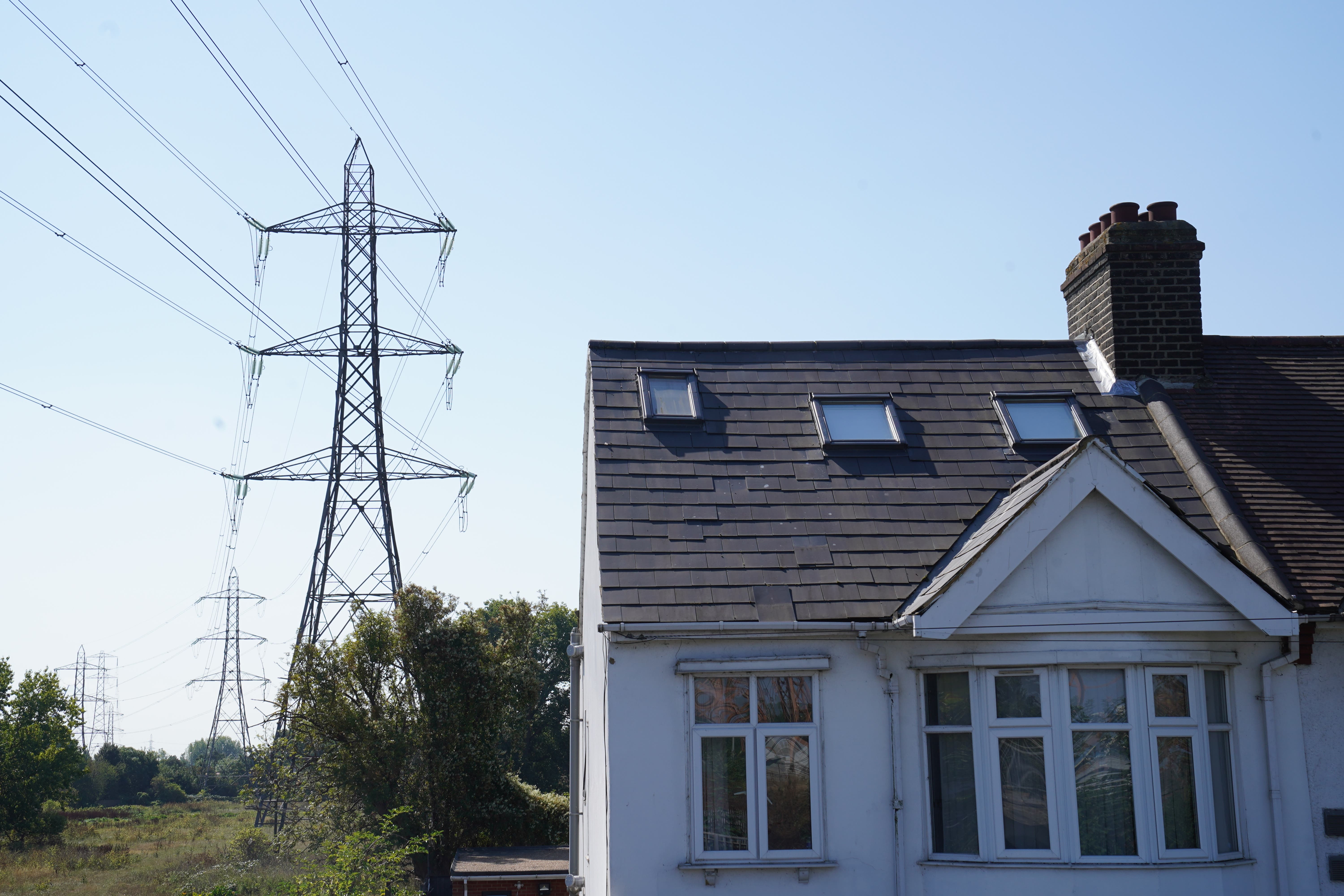 Priti Patel has asked the Government to reconsider plans for an overground cable from Norwich to Tilbury (Stefan Rousseau/PA)