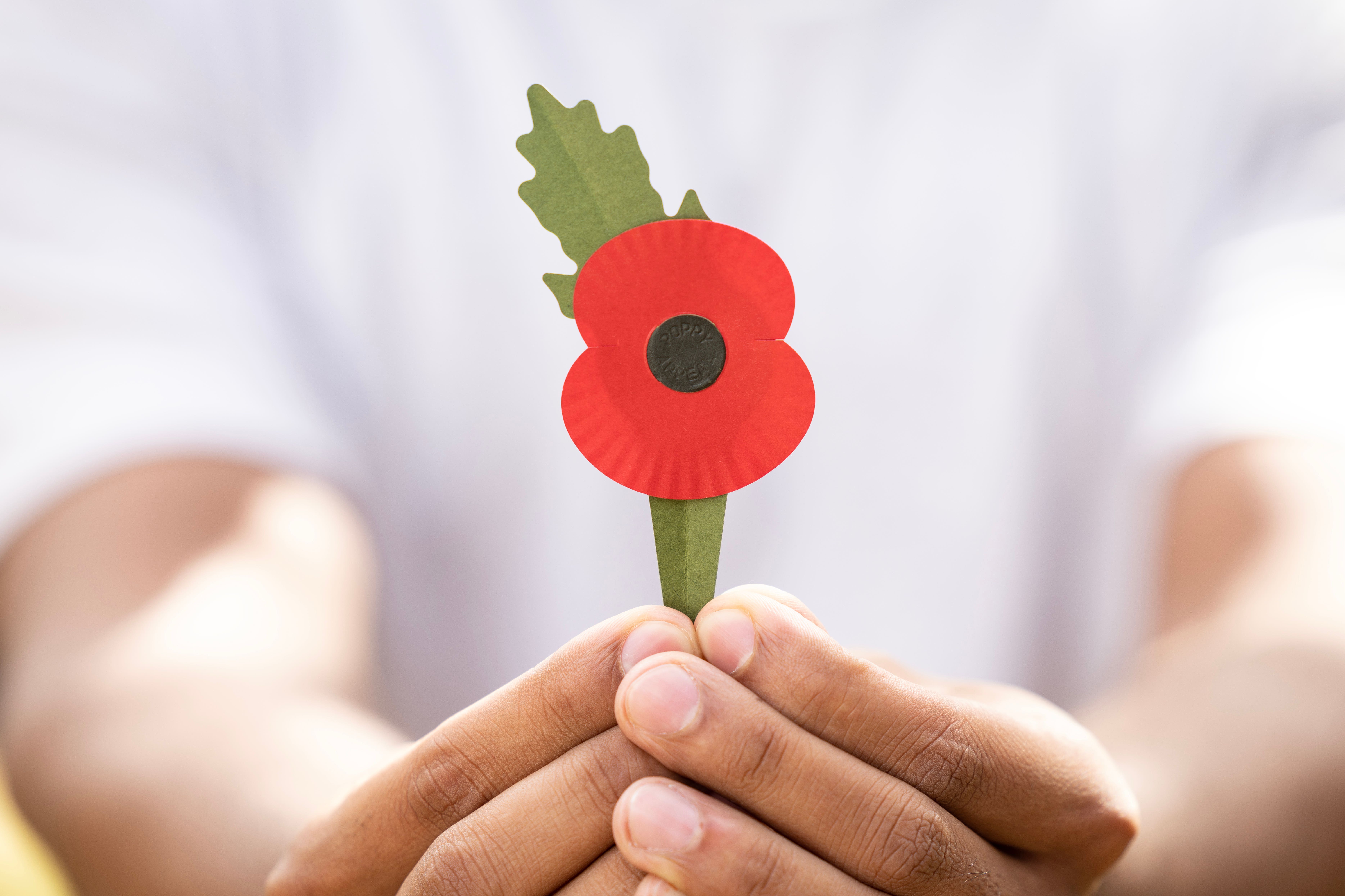 The Royal British Legion’s new 100% paper poppy (Royal British Legion/PA)