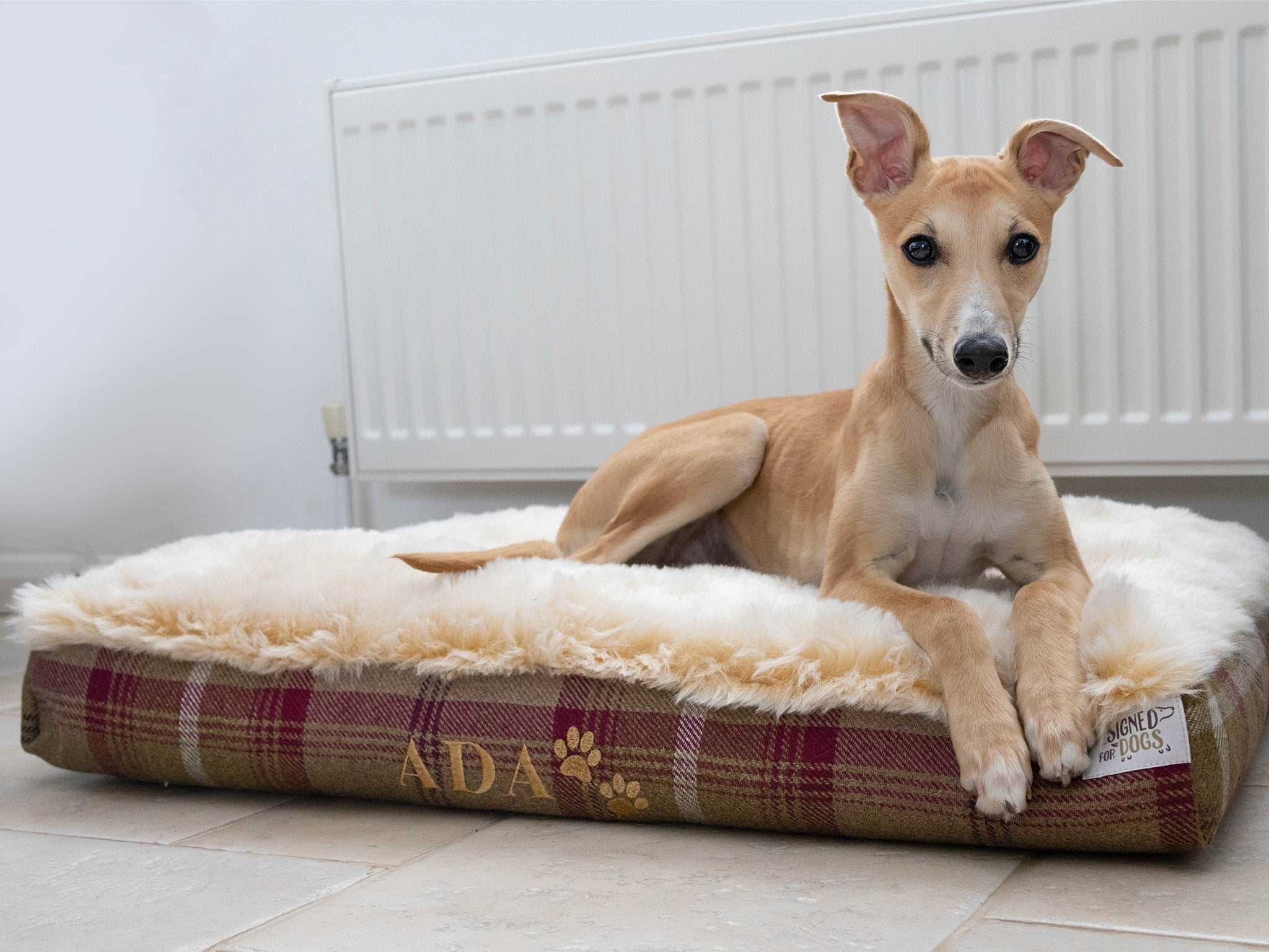 Designed For Dogs herringbone tweed mattress bed