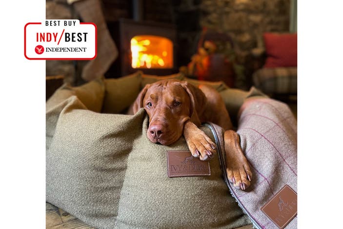 Ivy and Duke den bed