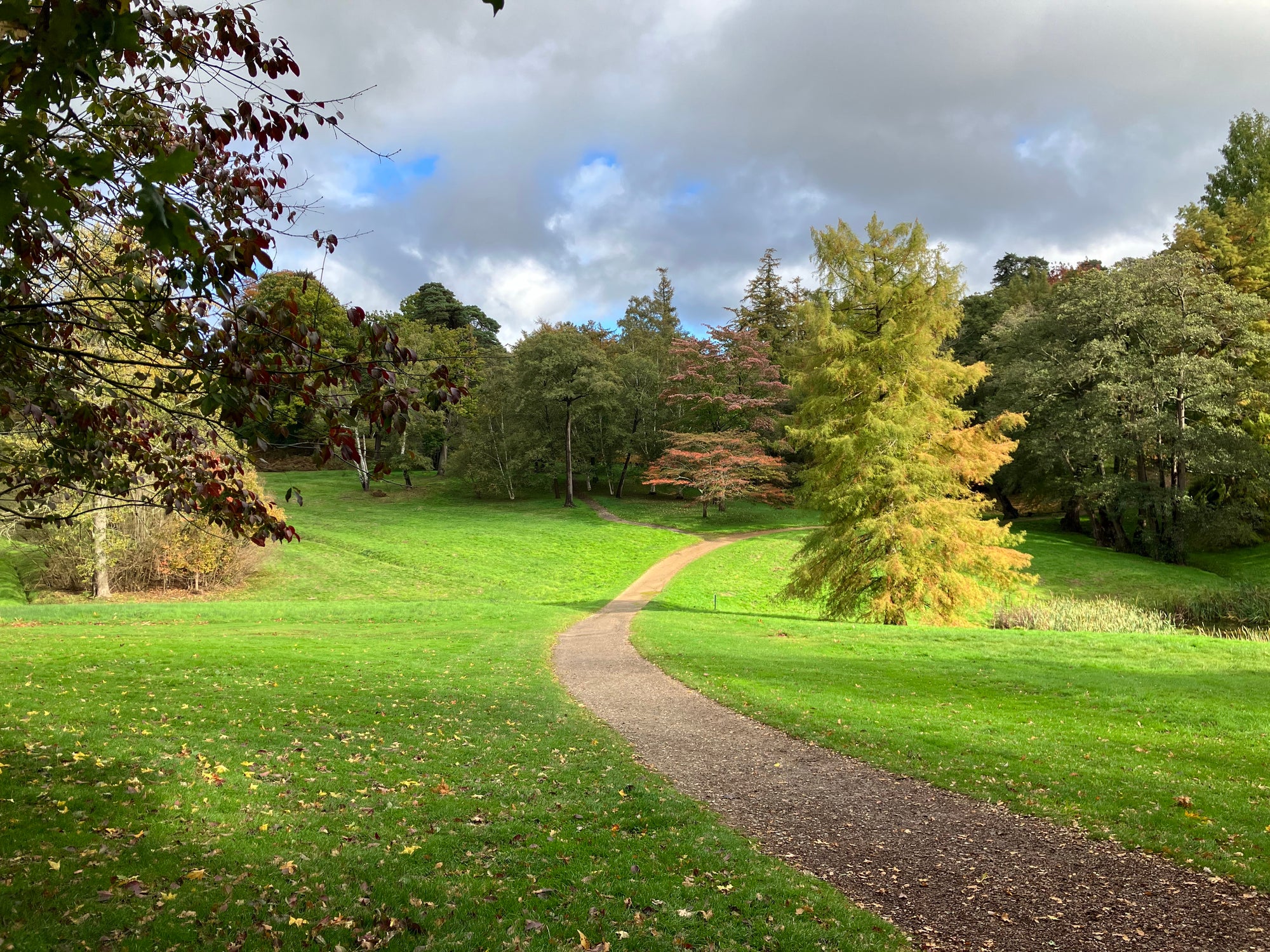 Windsor Great Park is perfect for long and winding walks