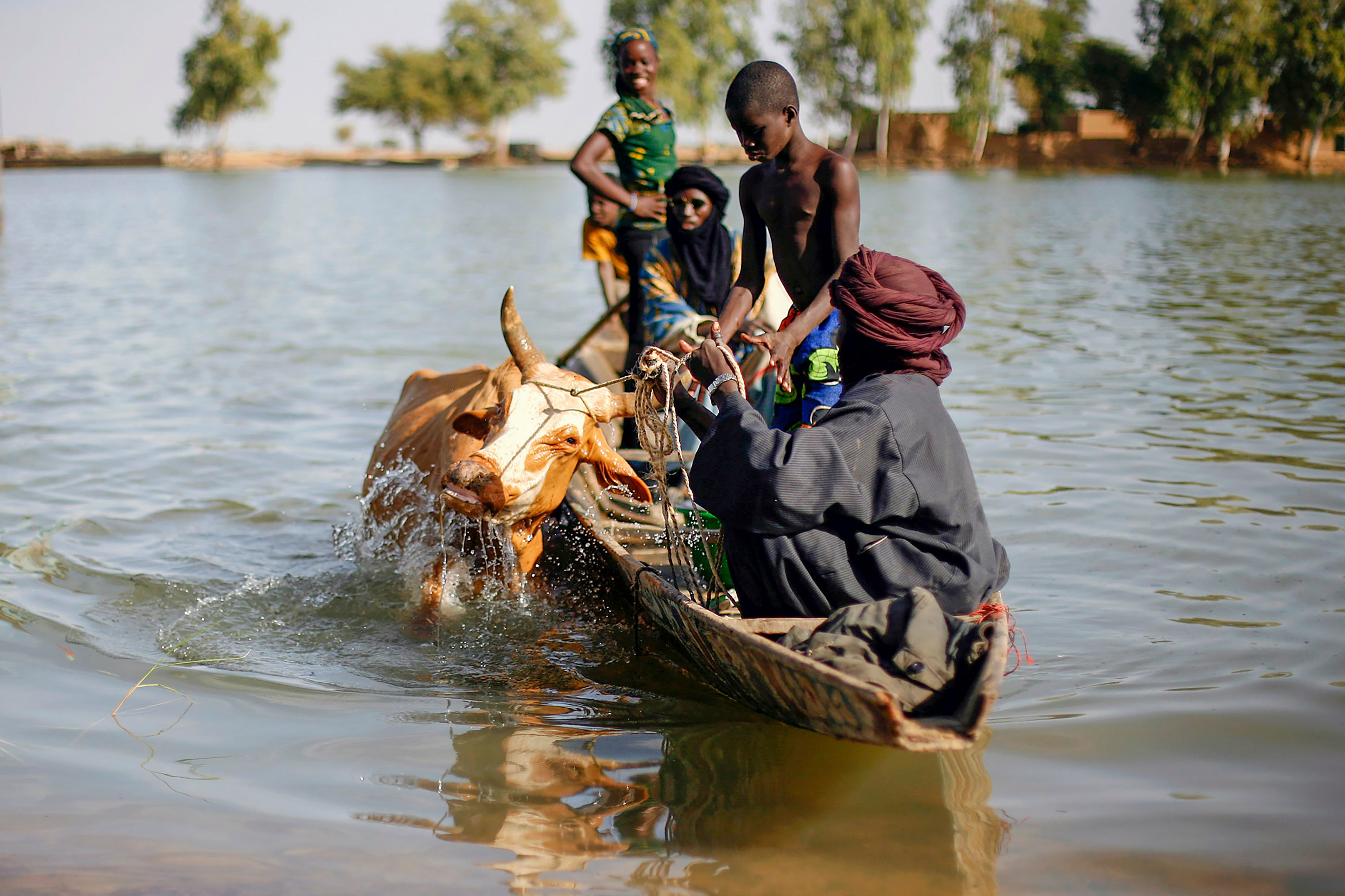 Mali Jihadi Cattle Raids