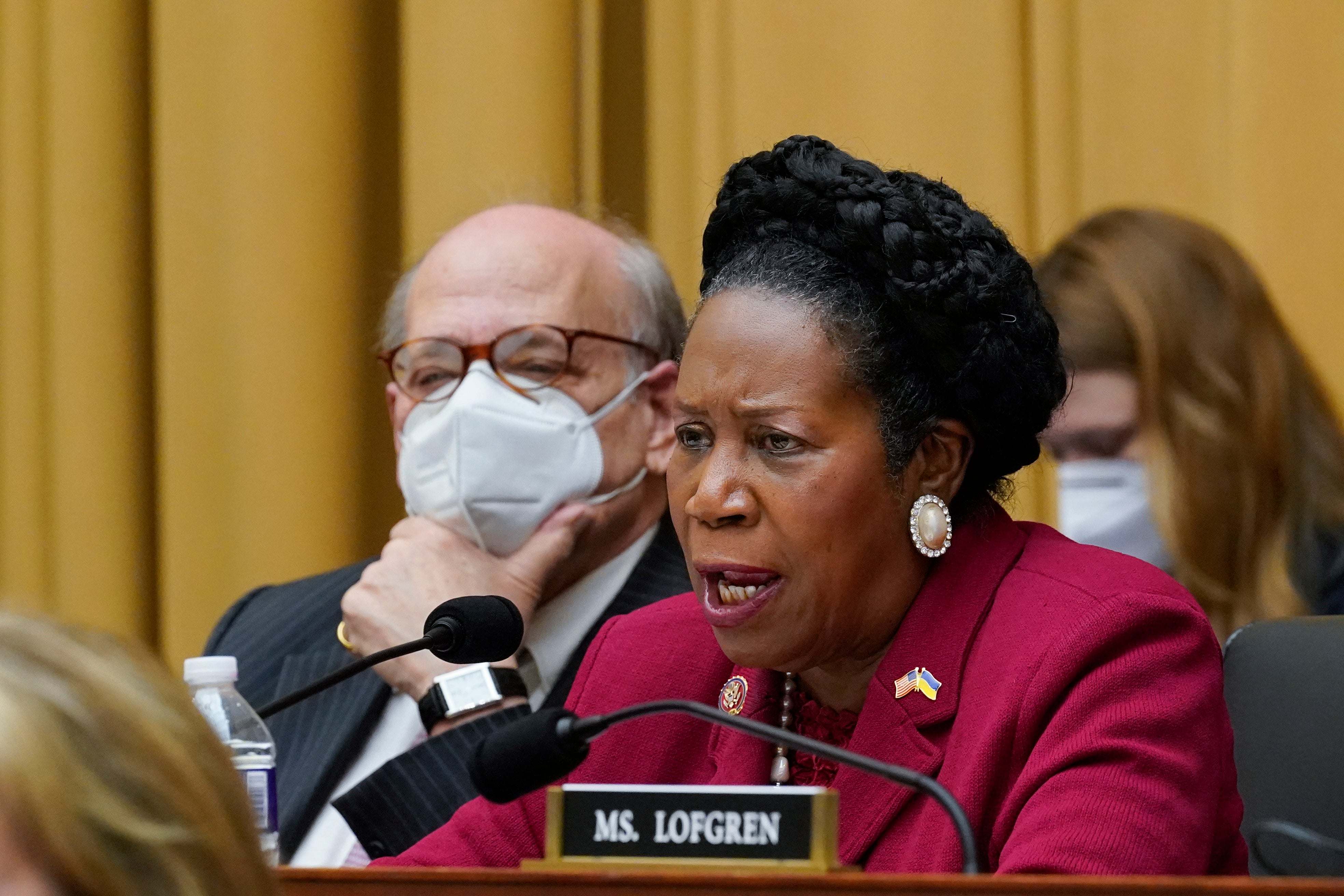 Rep Sheila Jackson Lee speaks in support of Democratic gun control measures in Washington DC on June 2 2022. The congress member has been diagnosed with cancer