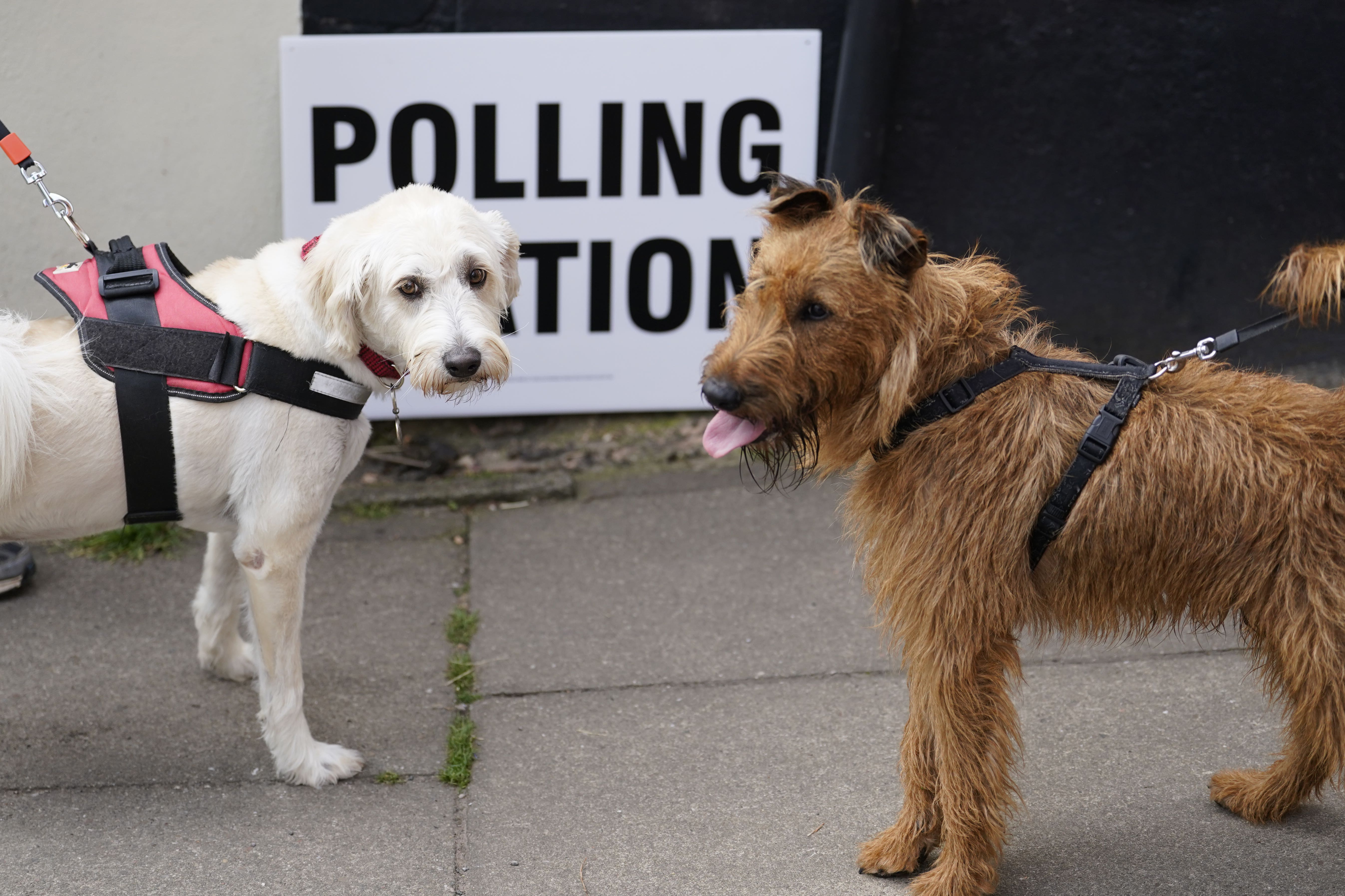 Council election declaration times (Andrew Matthews/PA)