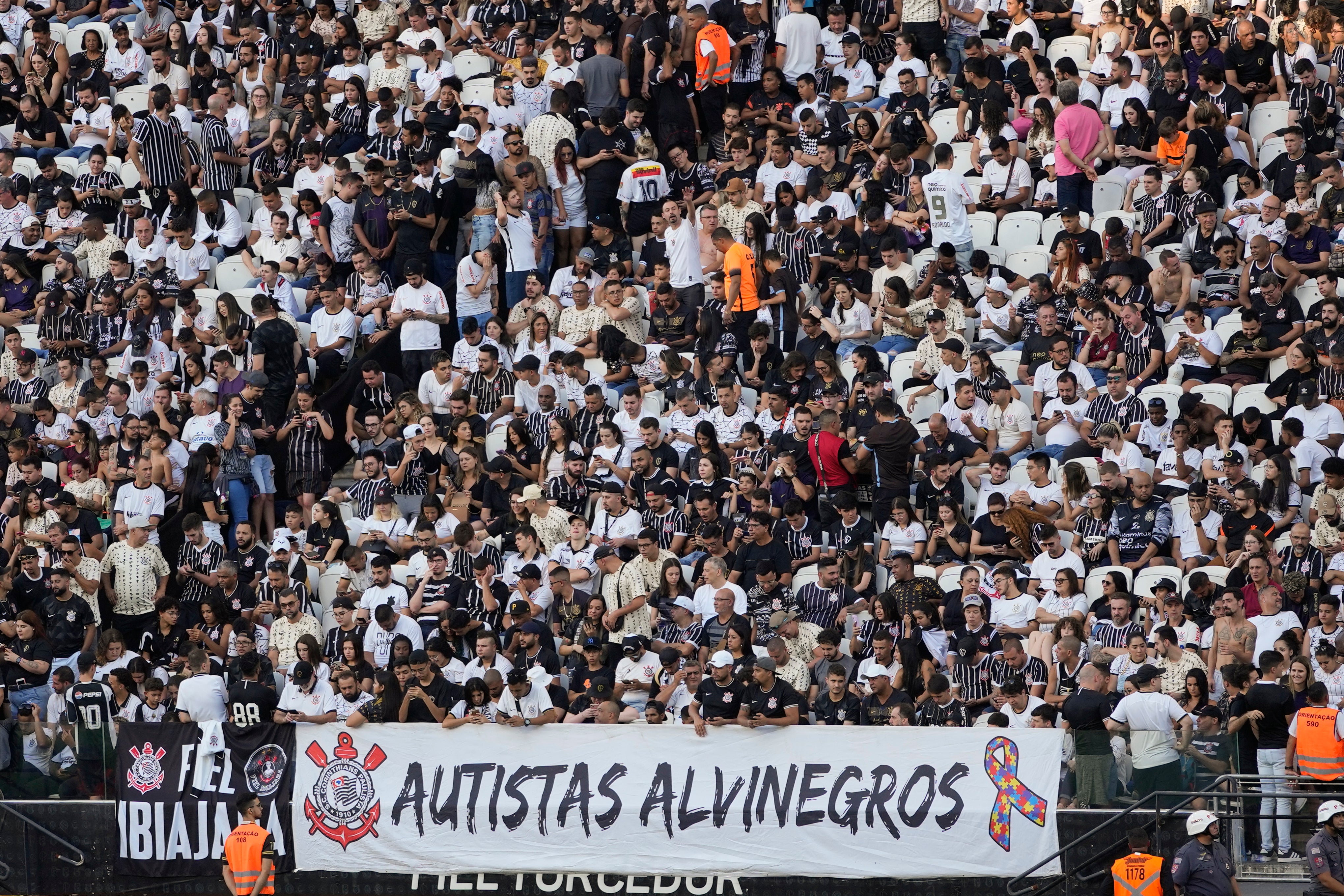 Brazil Autistic Soccer Fans
