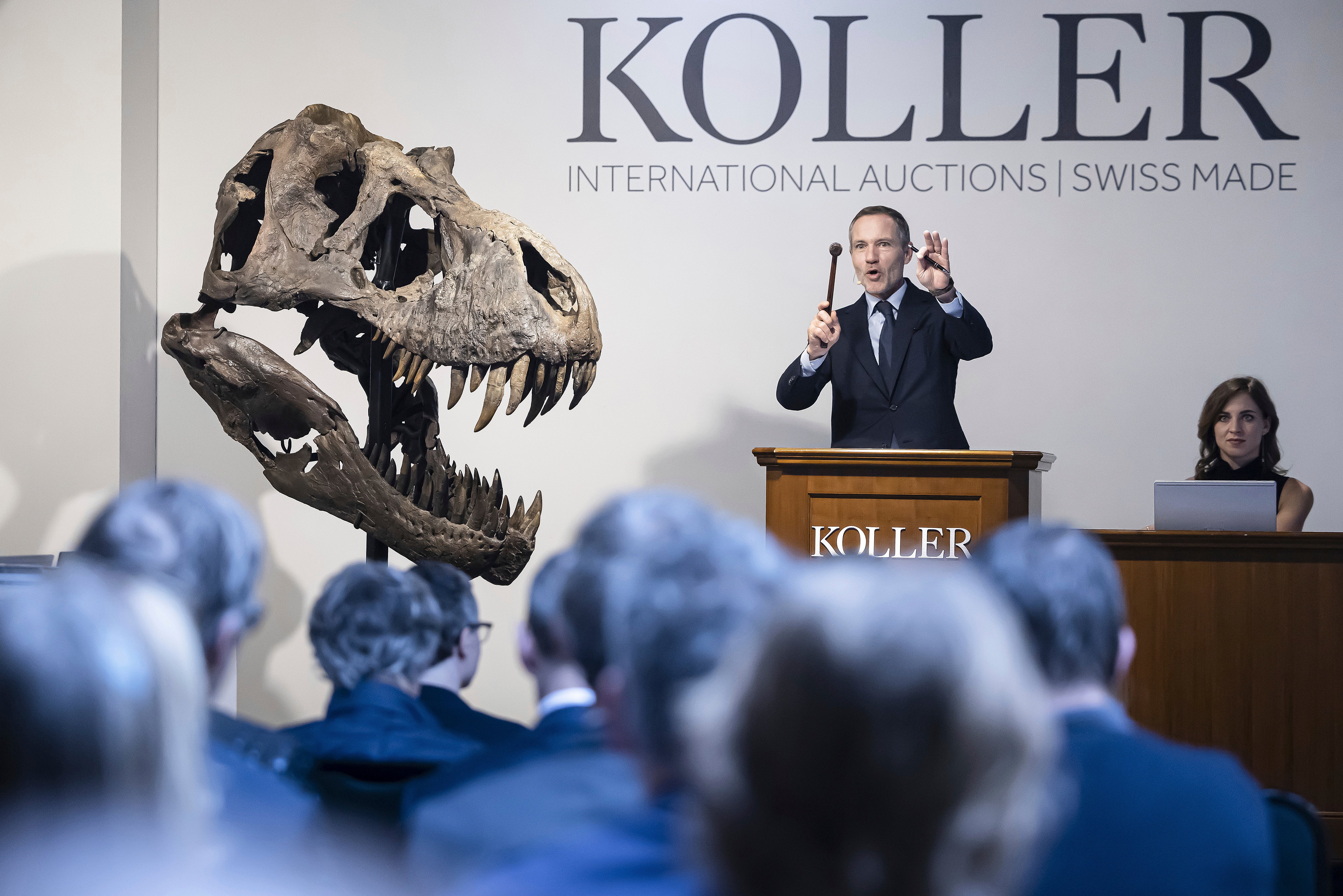 Switzerland Dinosaur Auction