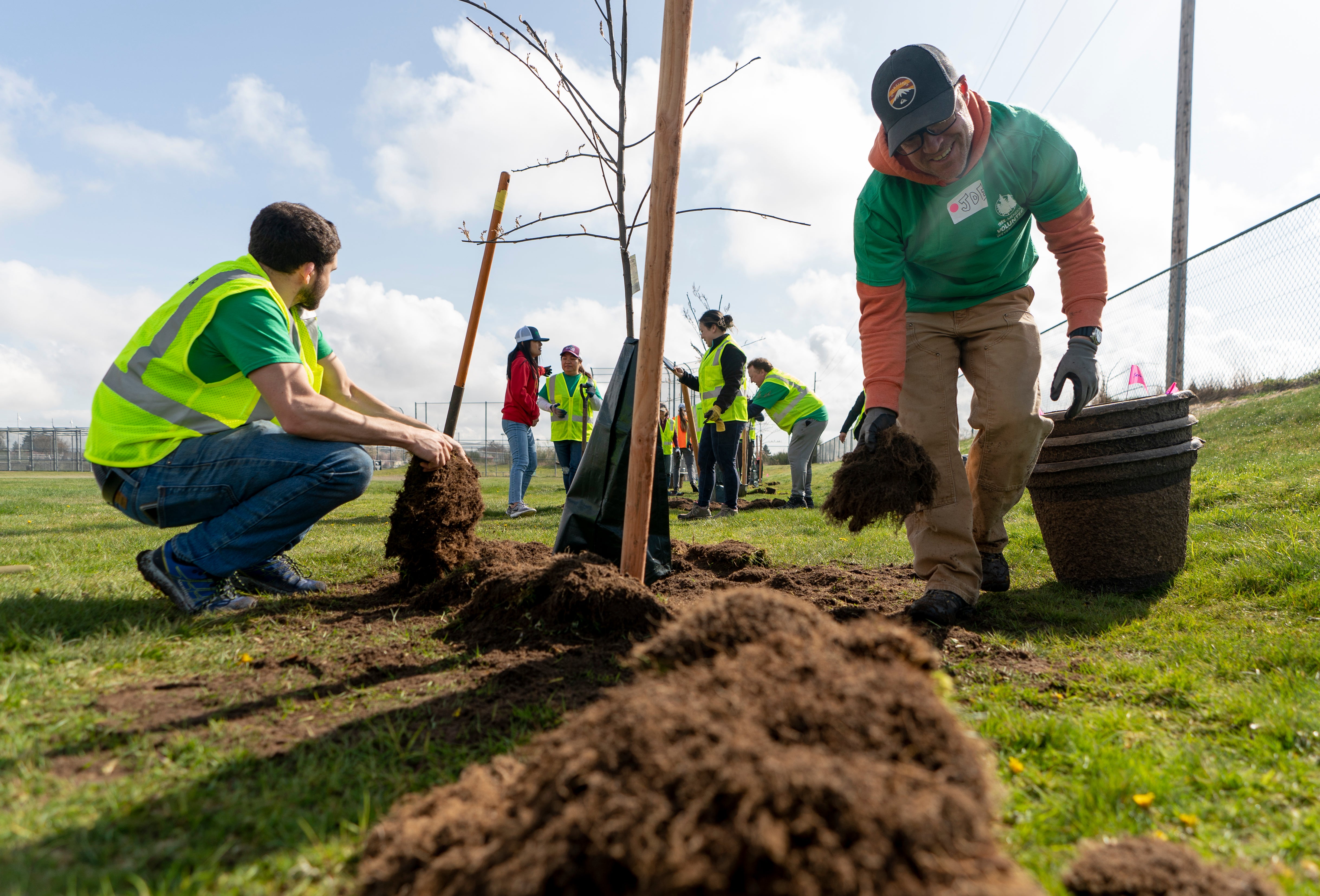 Urban Tree Plantings