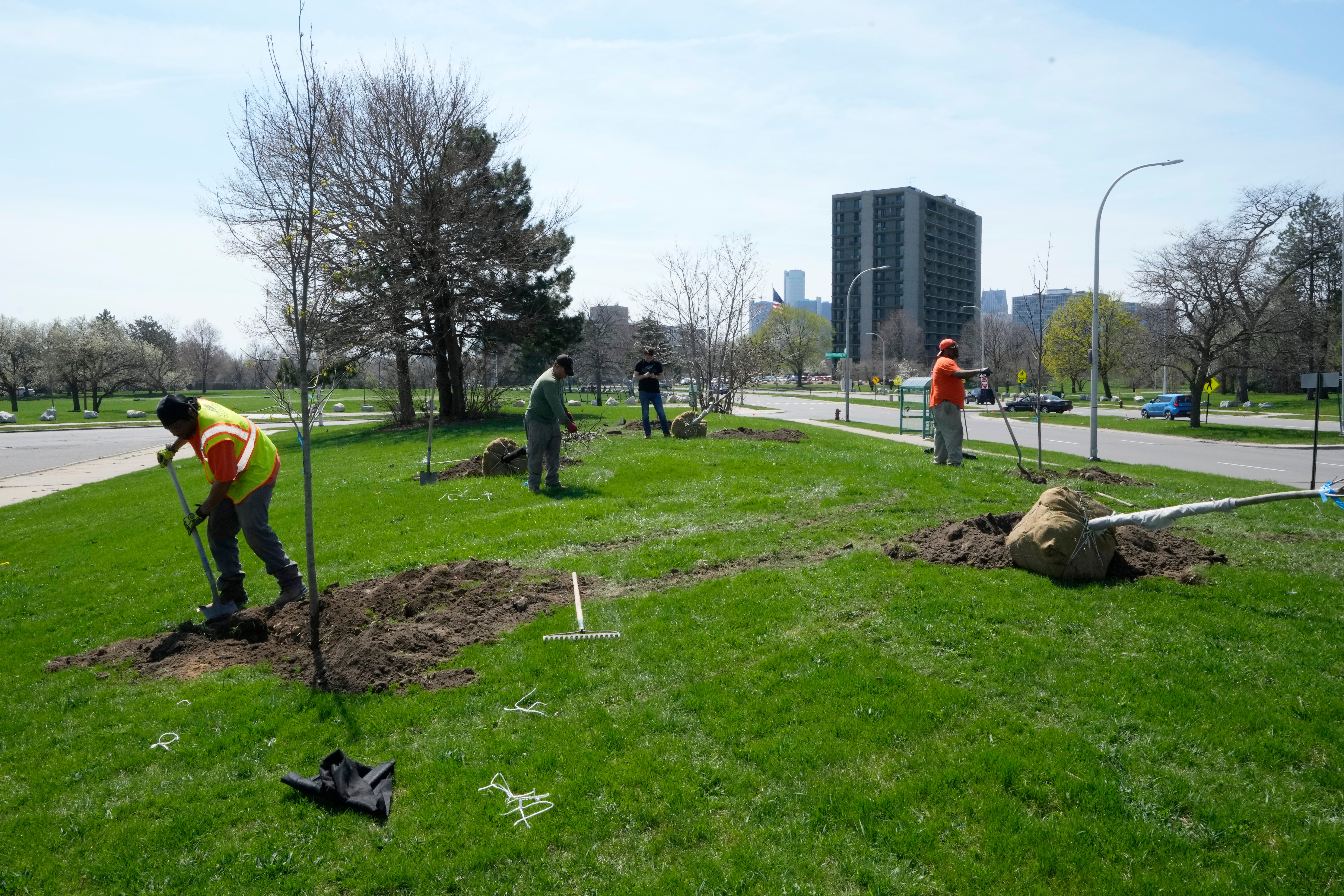 Urban Tree Plantings