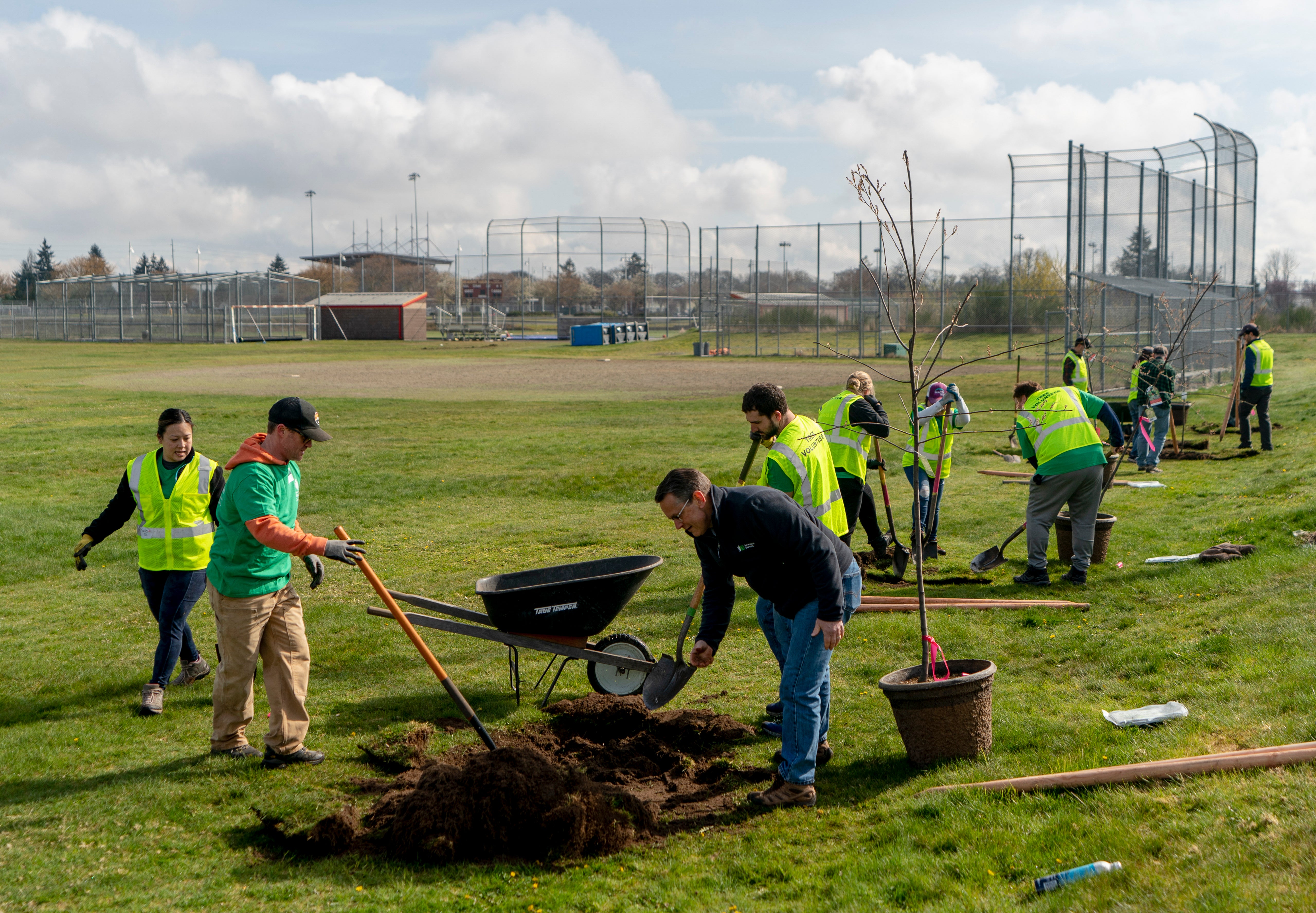 Urban Tree Plantings