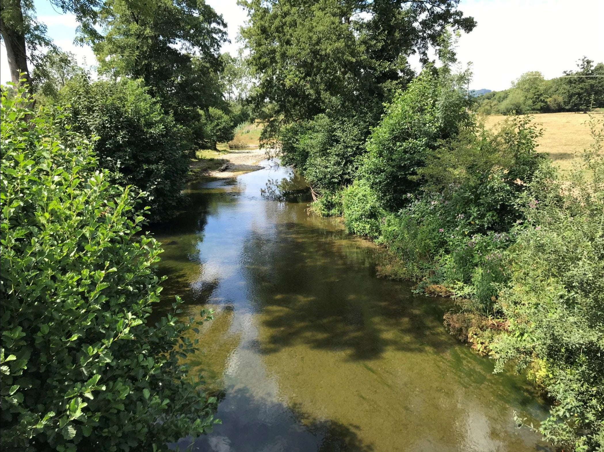 How the river looked before the trees were removed