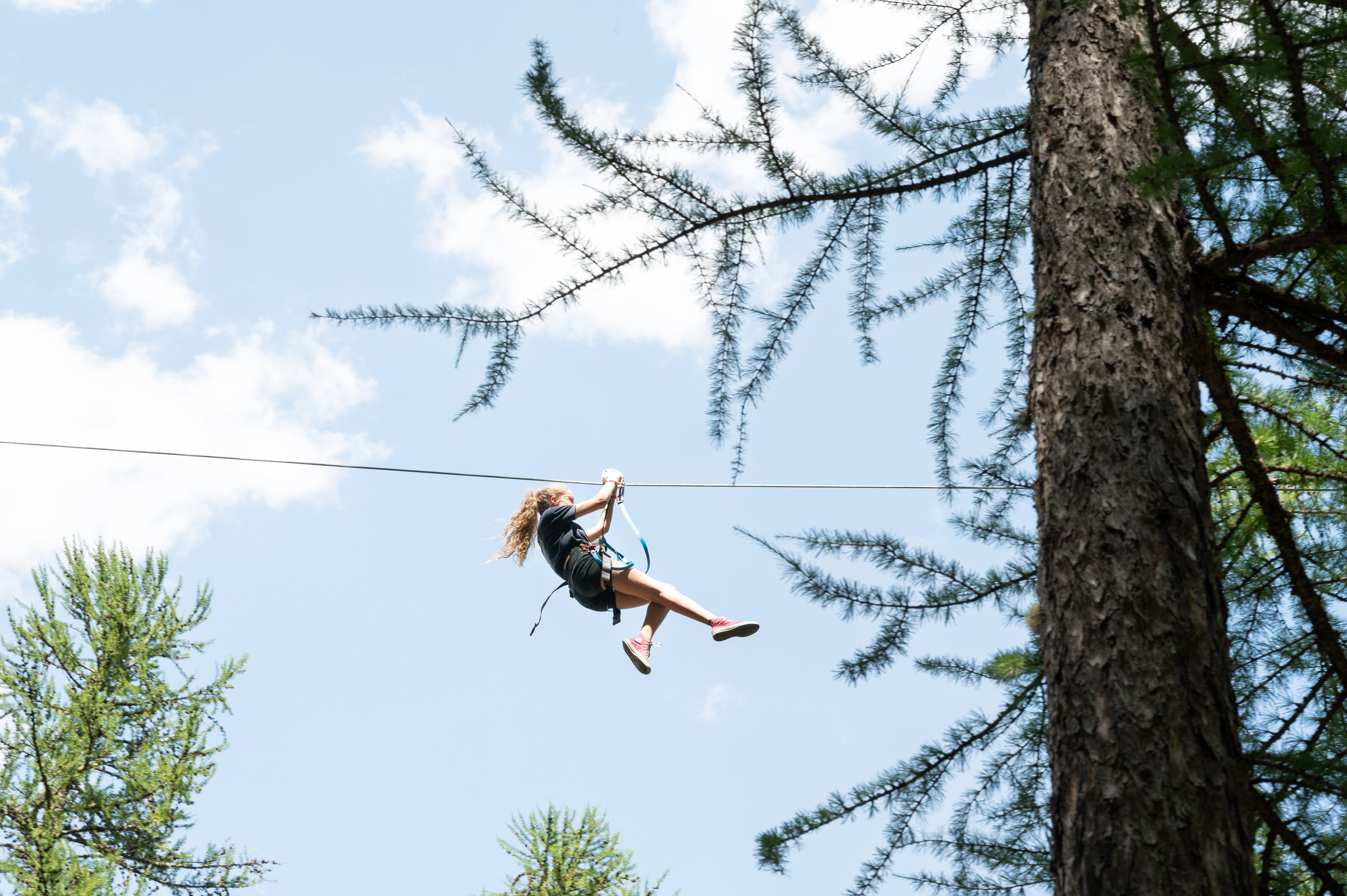 Zipline through the trees