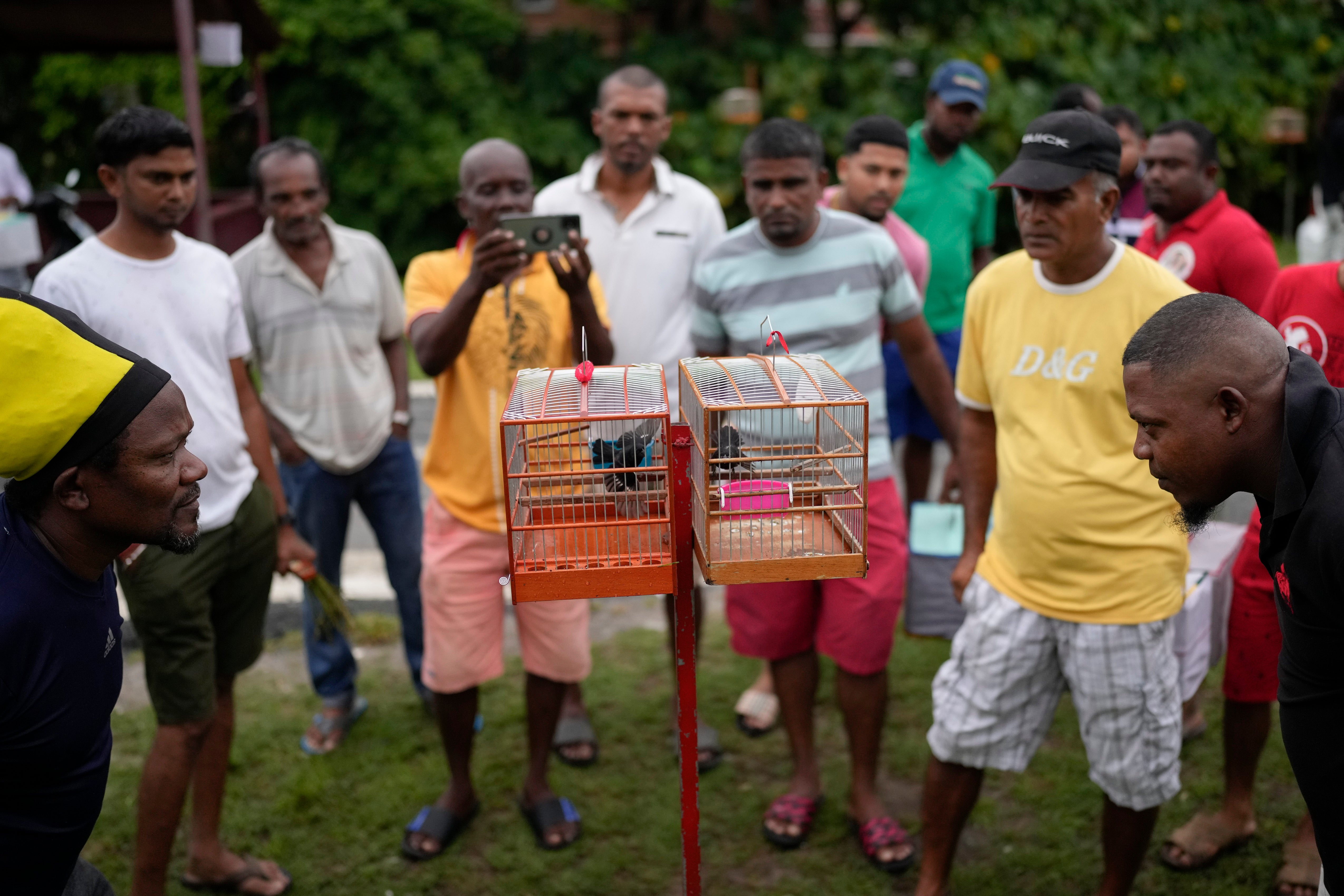 APTOPIX Guyana Birdsong Competition