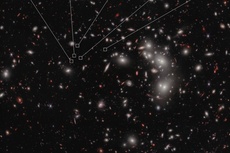 Galaxies far, far away: Nasa’s Webb telescope finds most distant cluster ever seen by humans