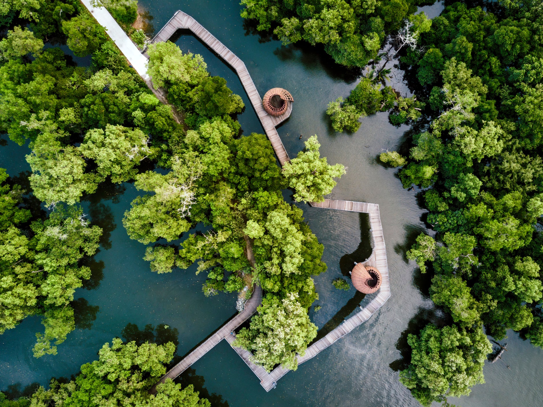 Escape the city bustle for nature-packed Pulau Ubin