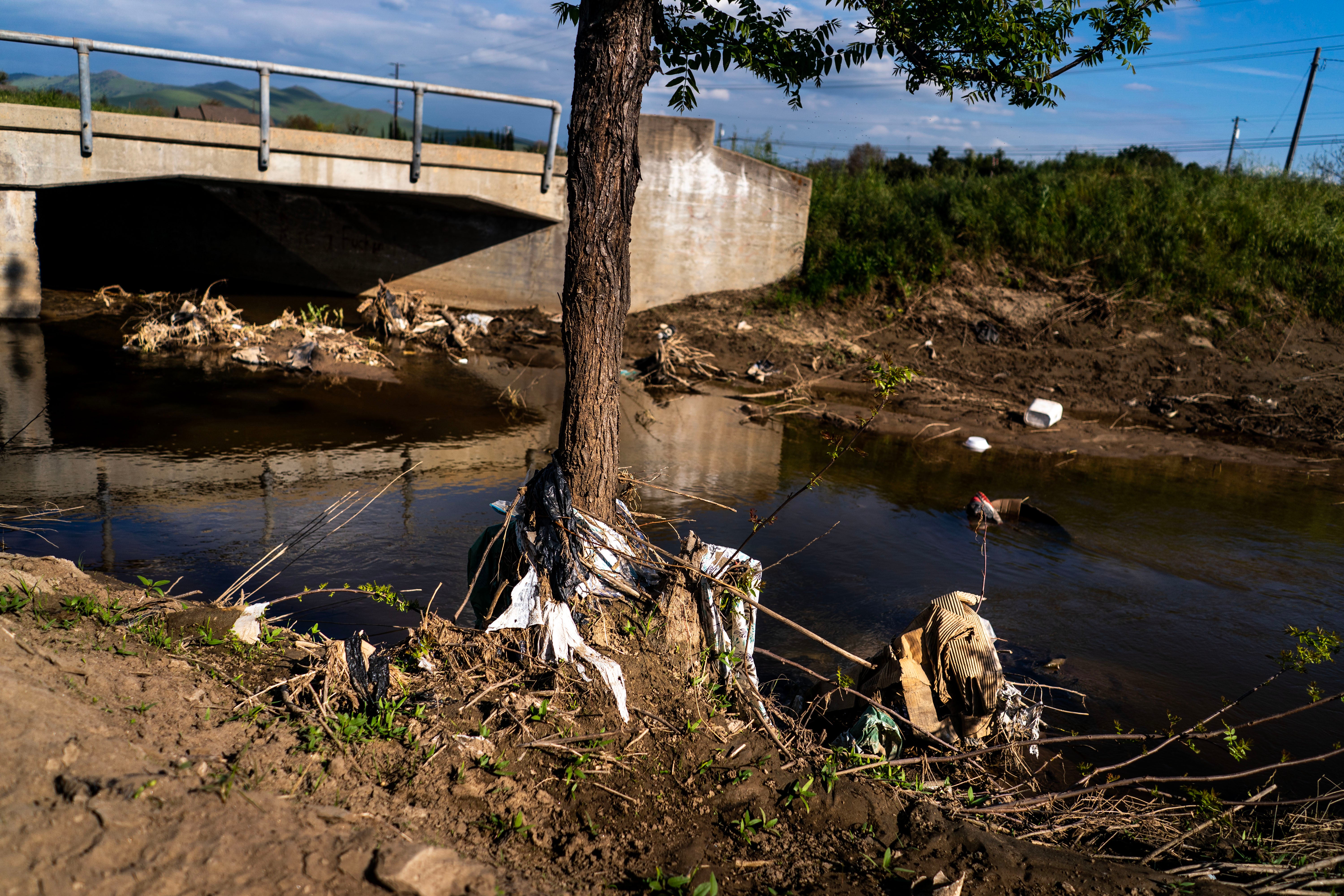 Rubbish stuck in a canal in Cutler after it overflowed