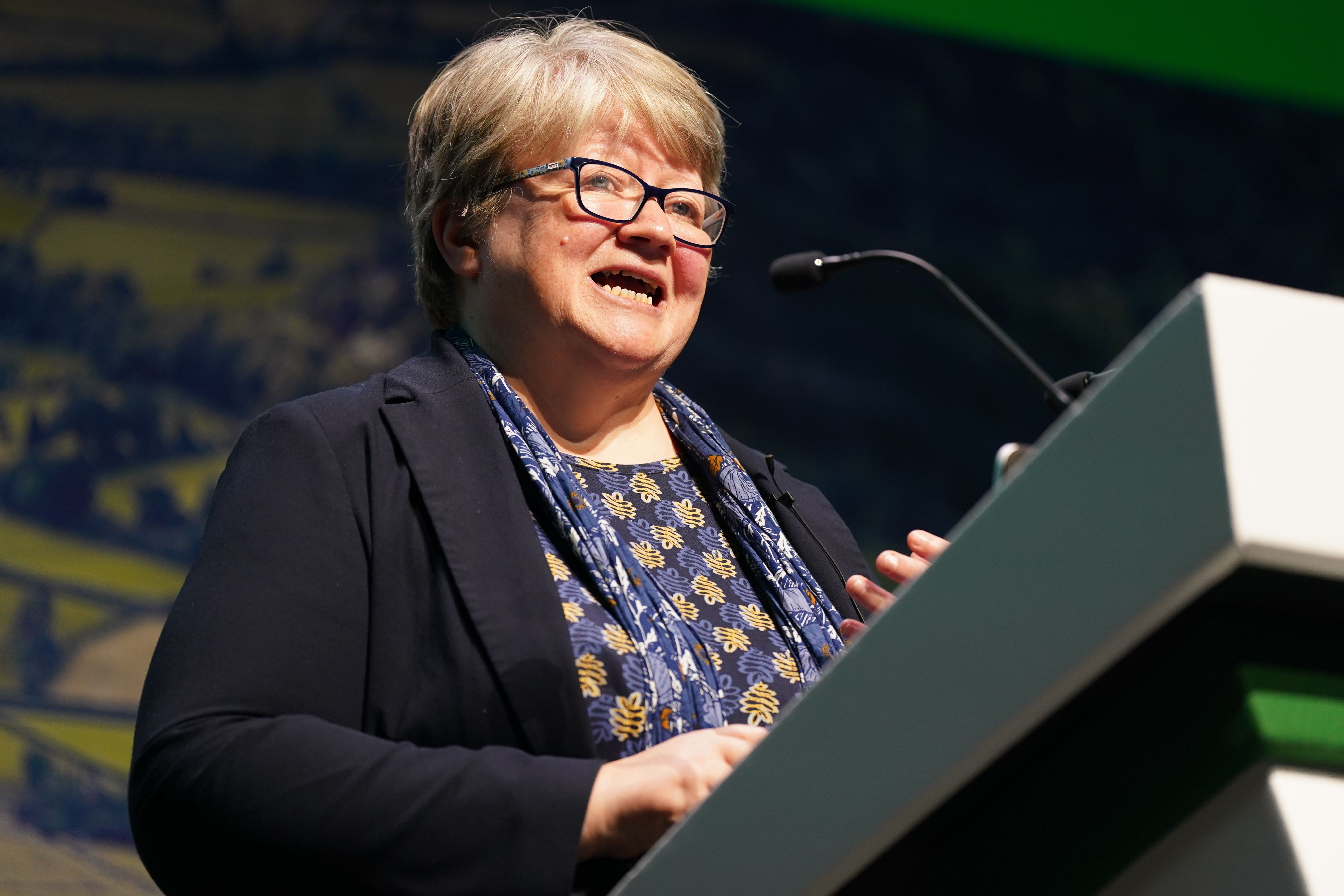 Environment secretary Therese Coffey will attend summit