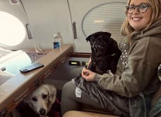 Woman shares travel hack for taking your pets around the world