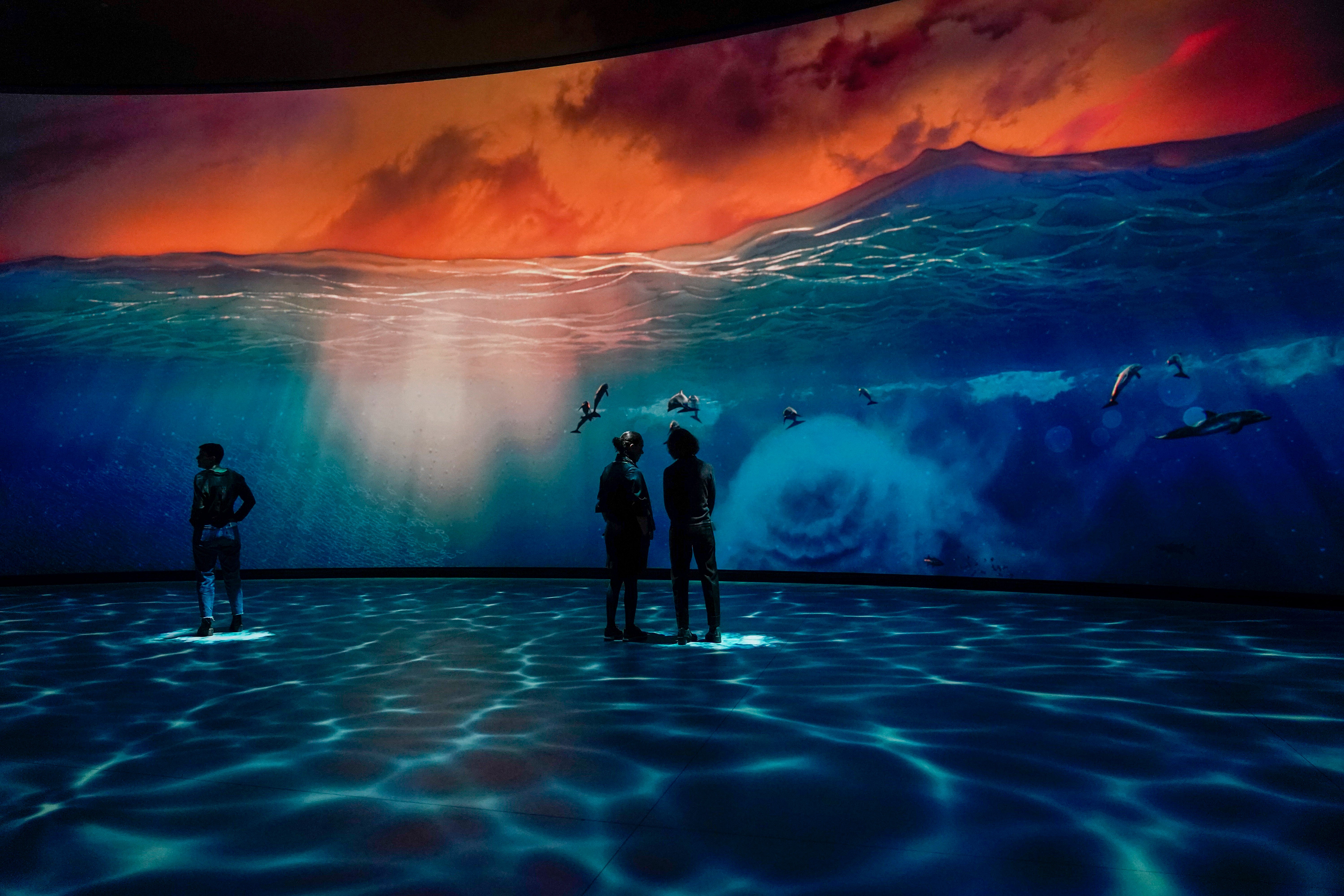 Museum of Natural History