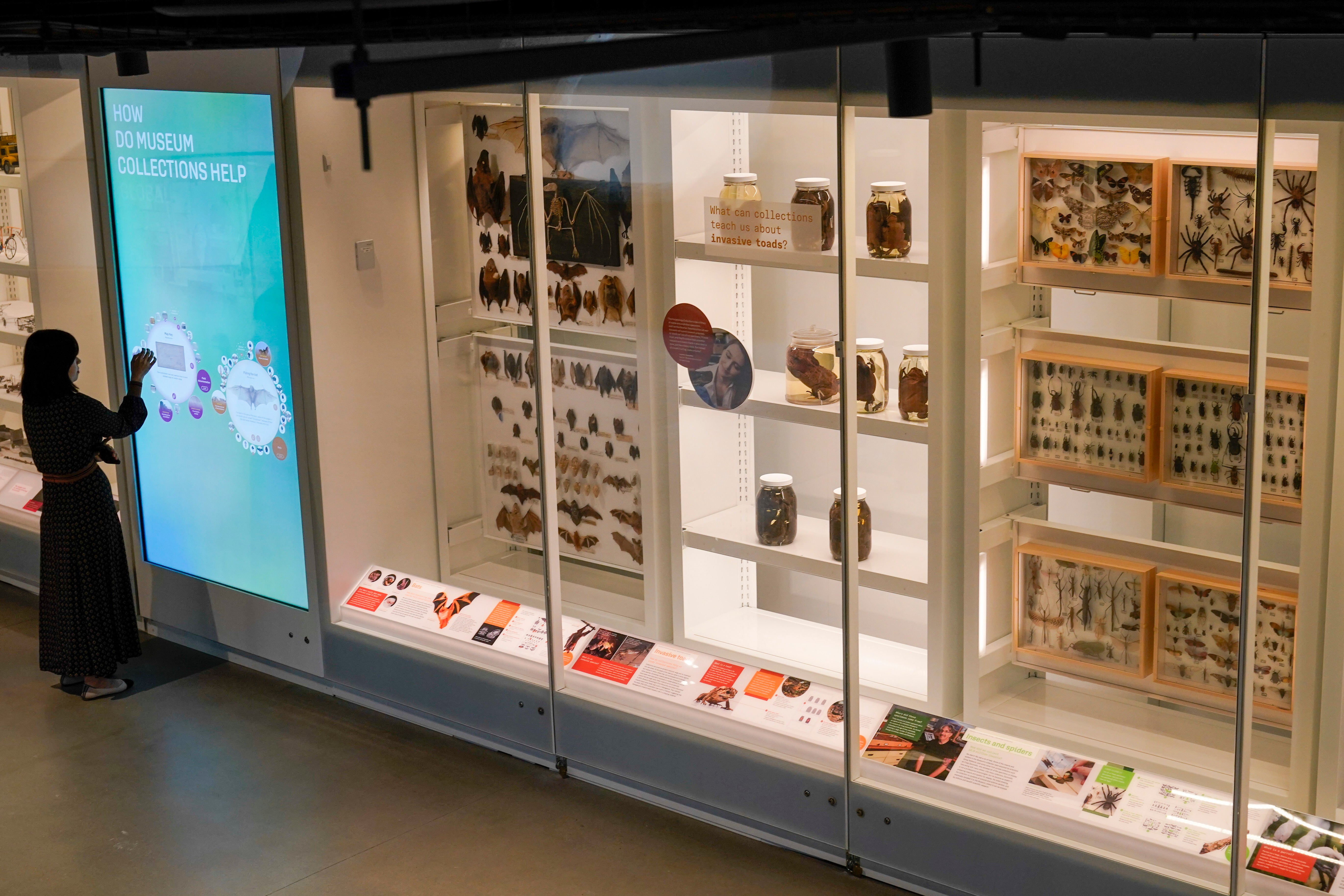 Museum of Natural History