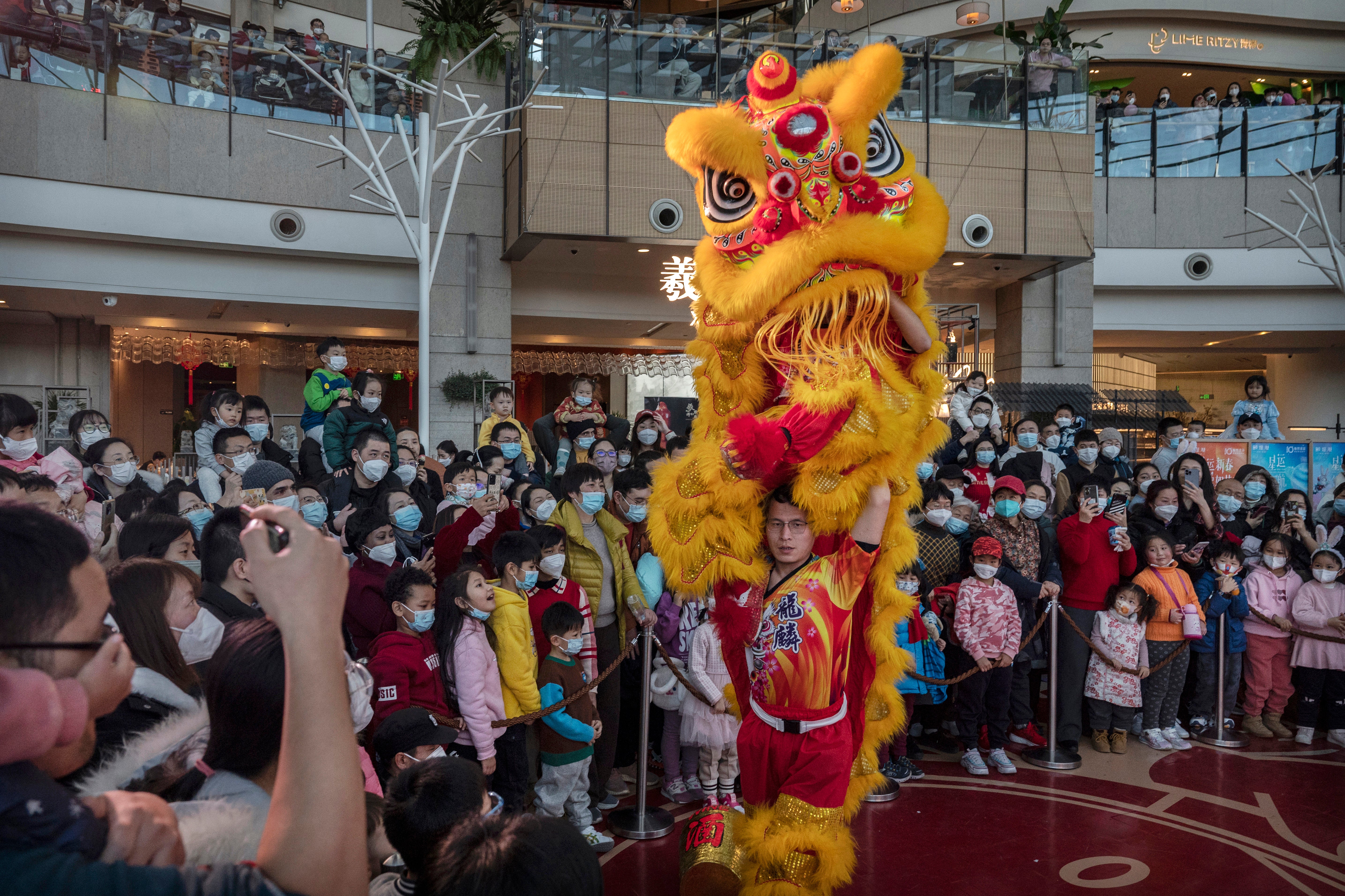 Lion dancers perform for the crowd during Chinese lunar new year and spring festival activities at a shopping mall on 26 January