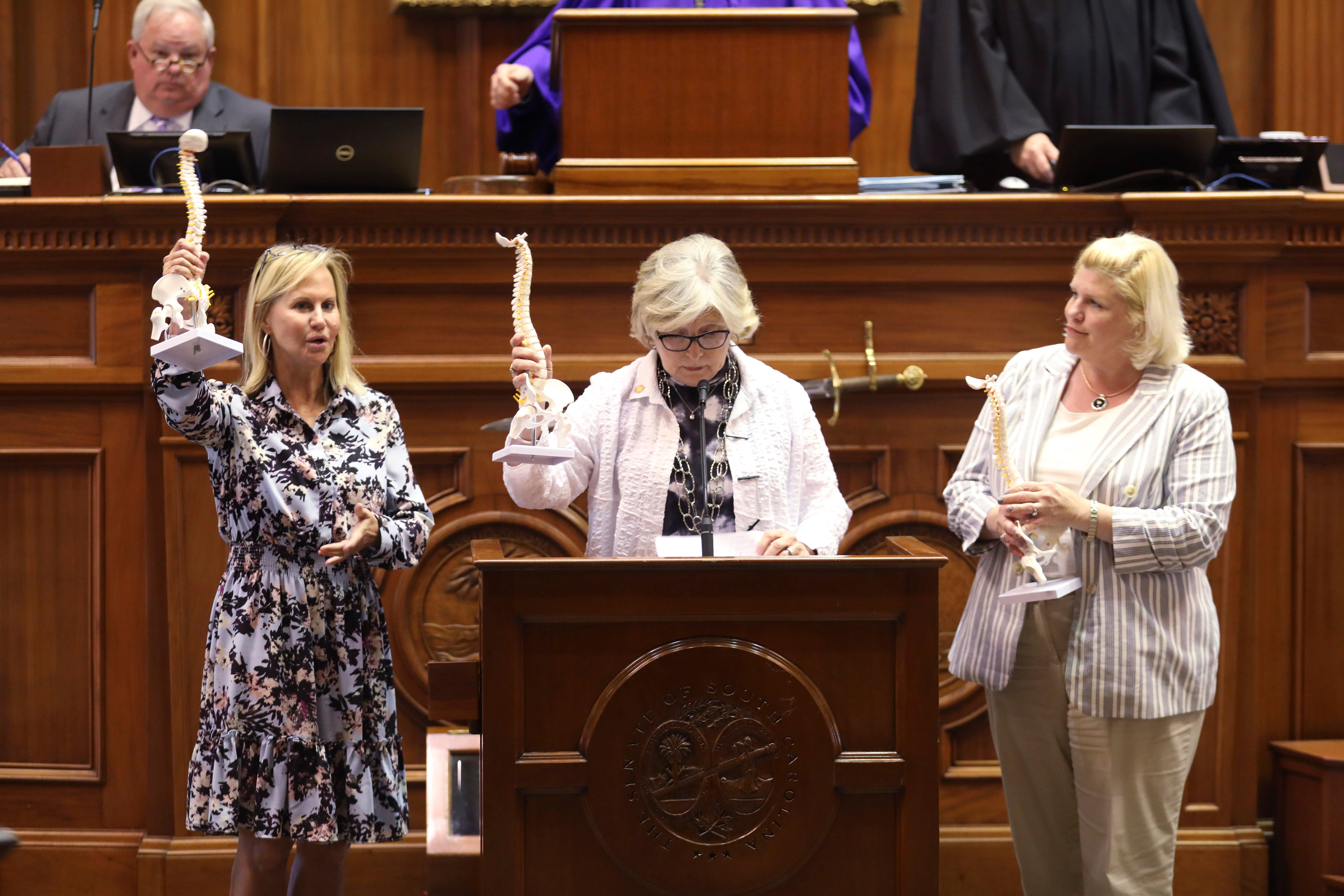 South Carolina state senators Sandy Senn, left, Katrina Shealy, center, and Penry Gustafson