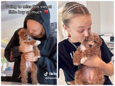 JoJo Siwa pays tribute to ‘perfect’ puppy who died two months after getting him