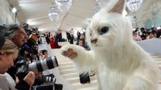 Jared Leto attends Met Gala dressed as Lagerfeld’s beloved pet