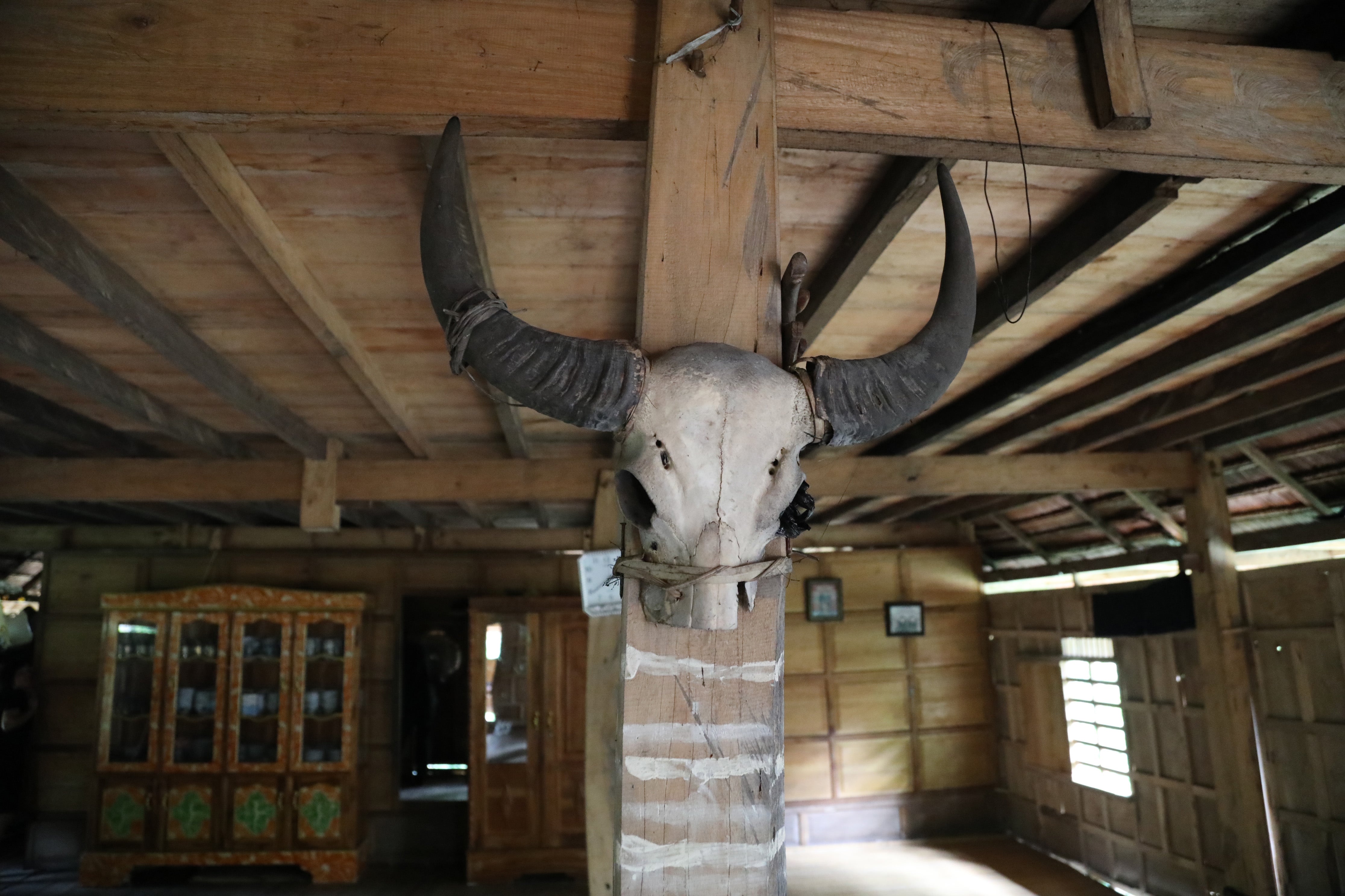 Animal skulls and horns are mounted in Kajang homes