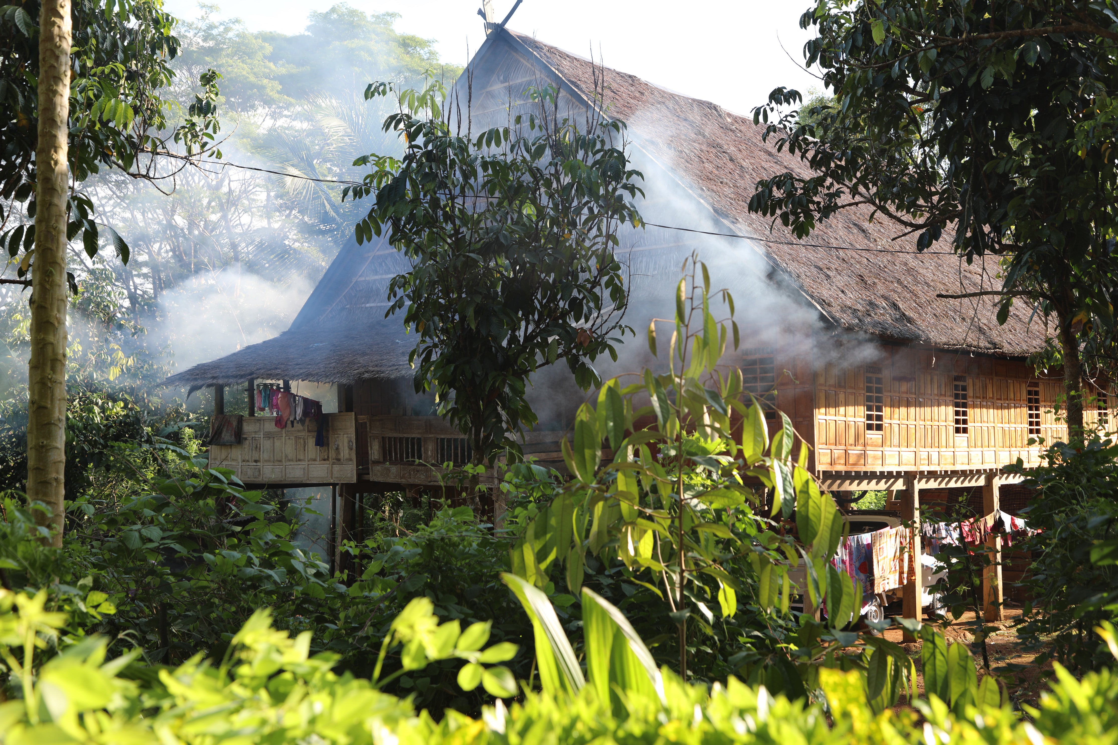 All homes are the same shape and size. The wood is sourced from the forest, but only from a small area