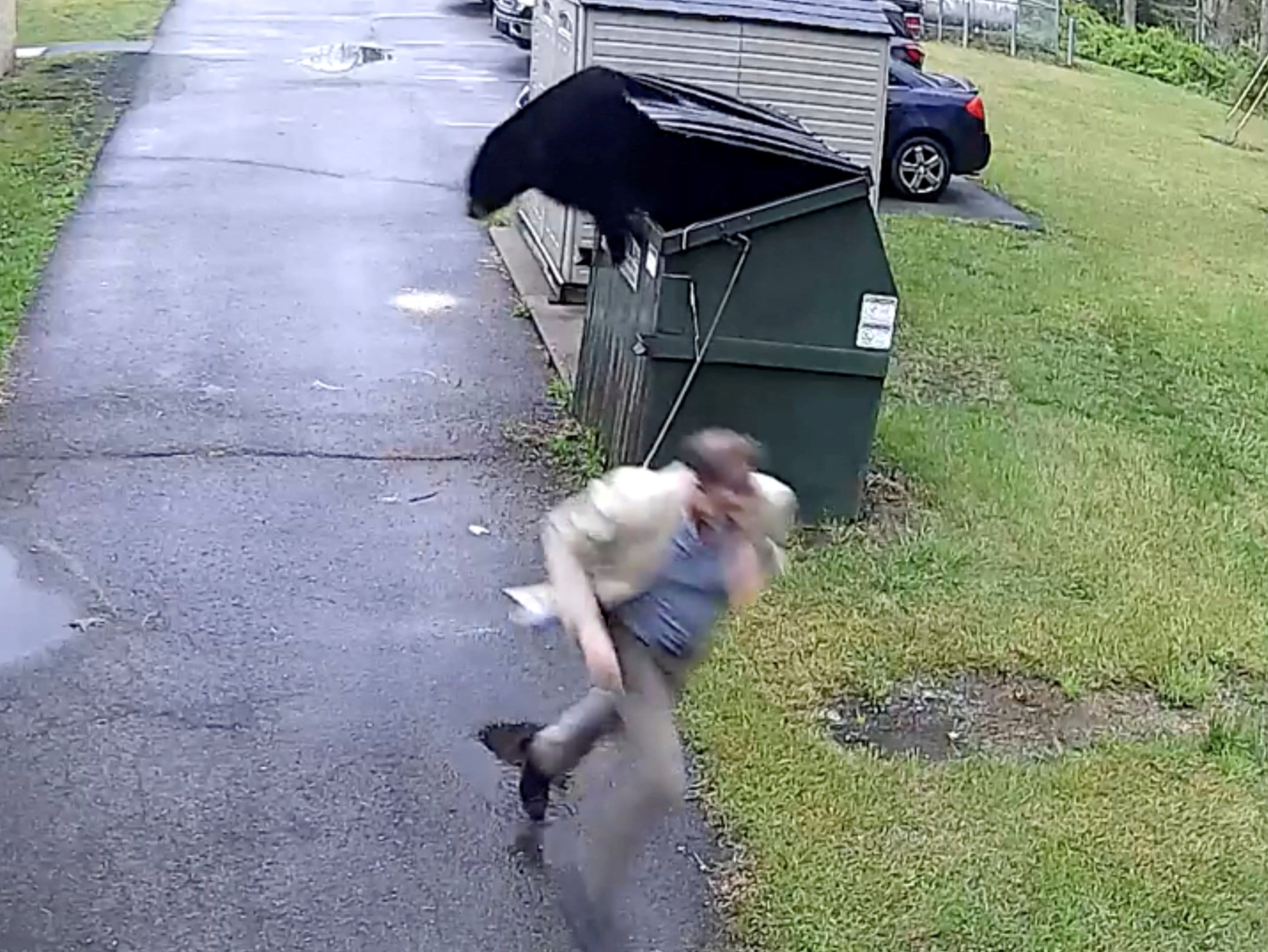 Principal of an elementary school runs away as a black bear jumps out from the dumpster, in Summersville, West Virginia, US