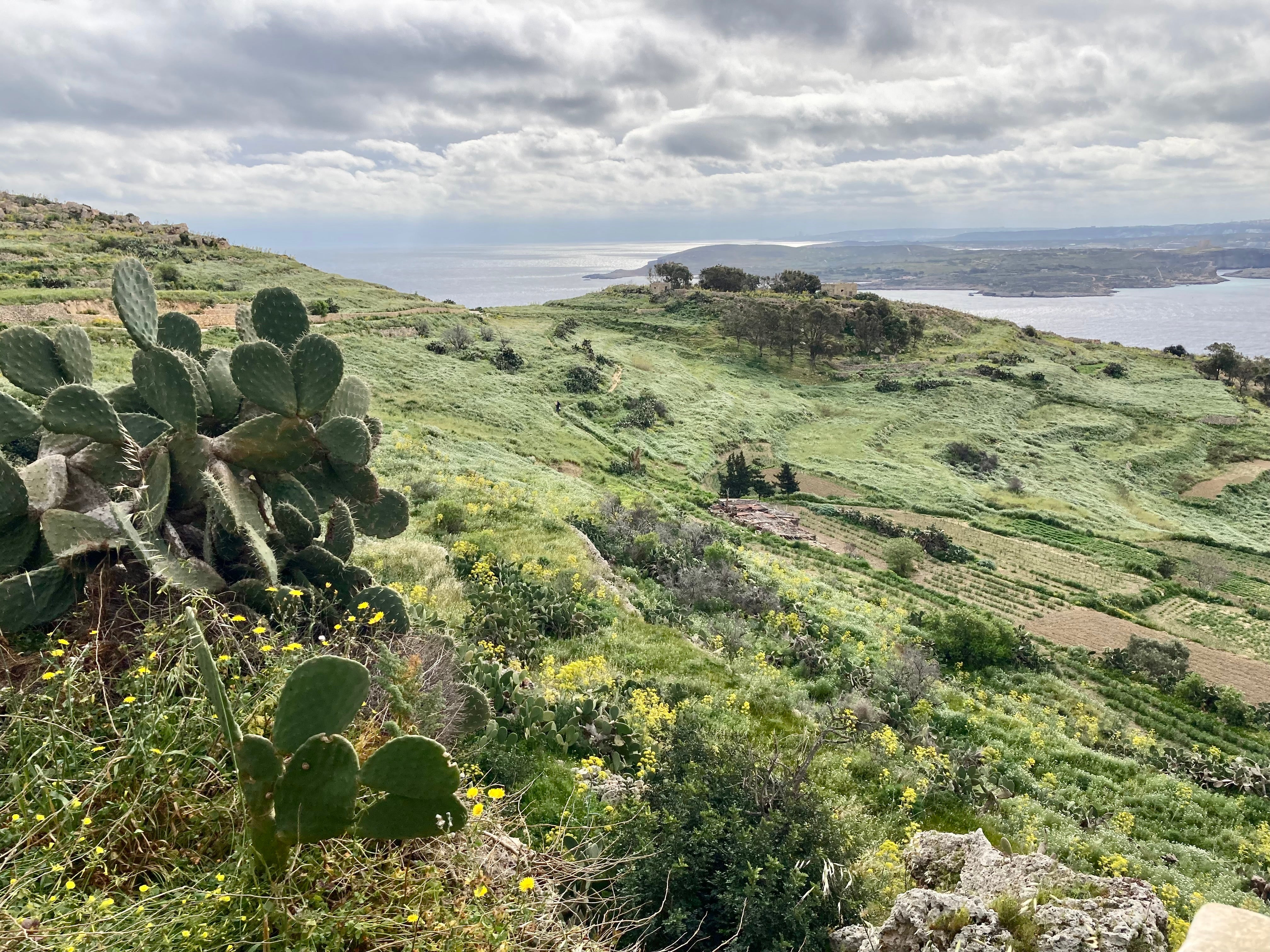 There are plenty of walks along Gozo’s rugged coastline