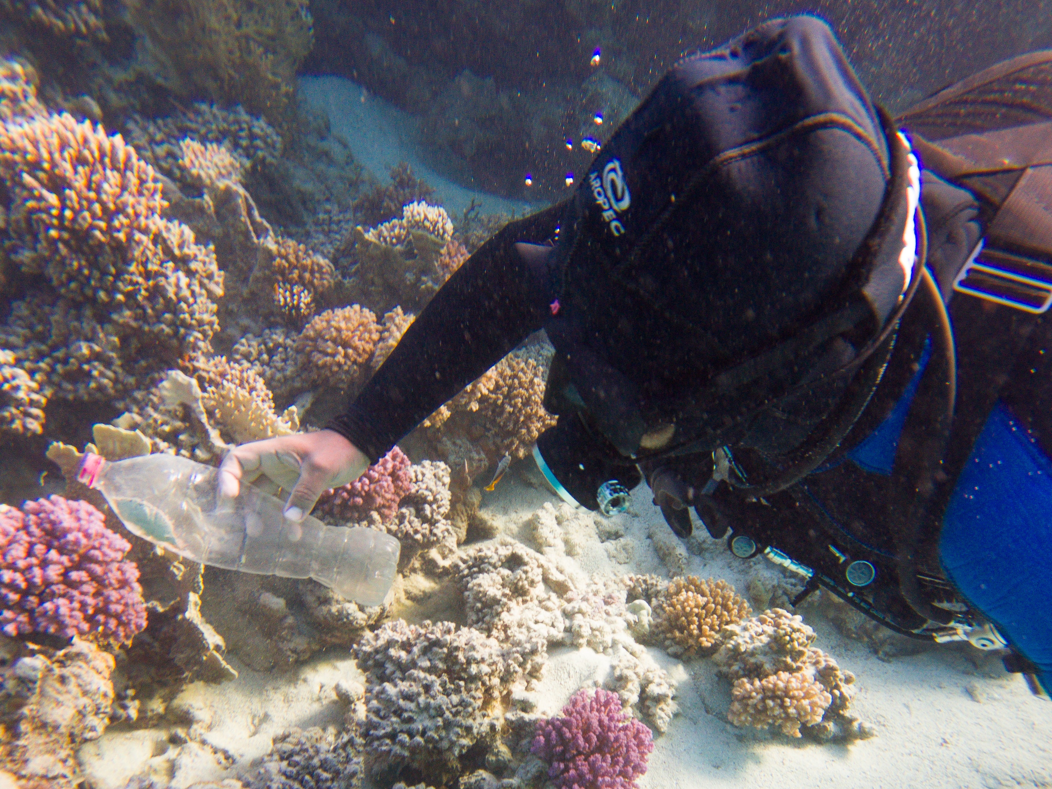 The beautiful reef is blighted by rubbish