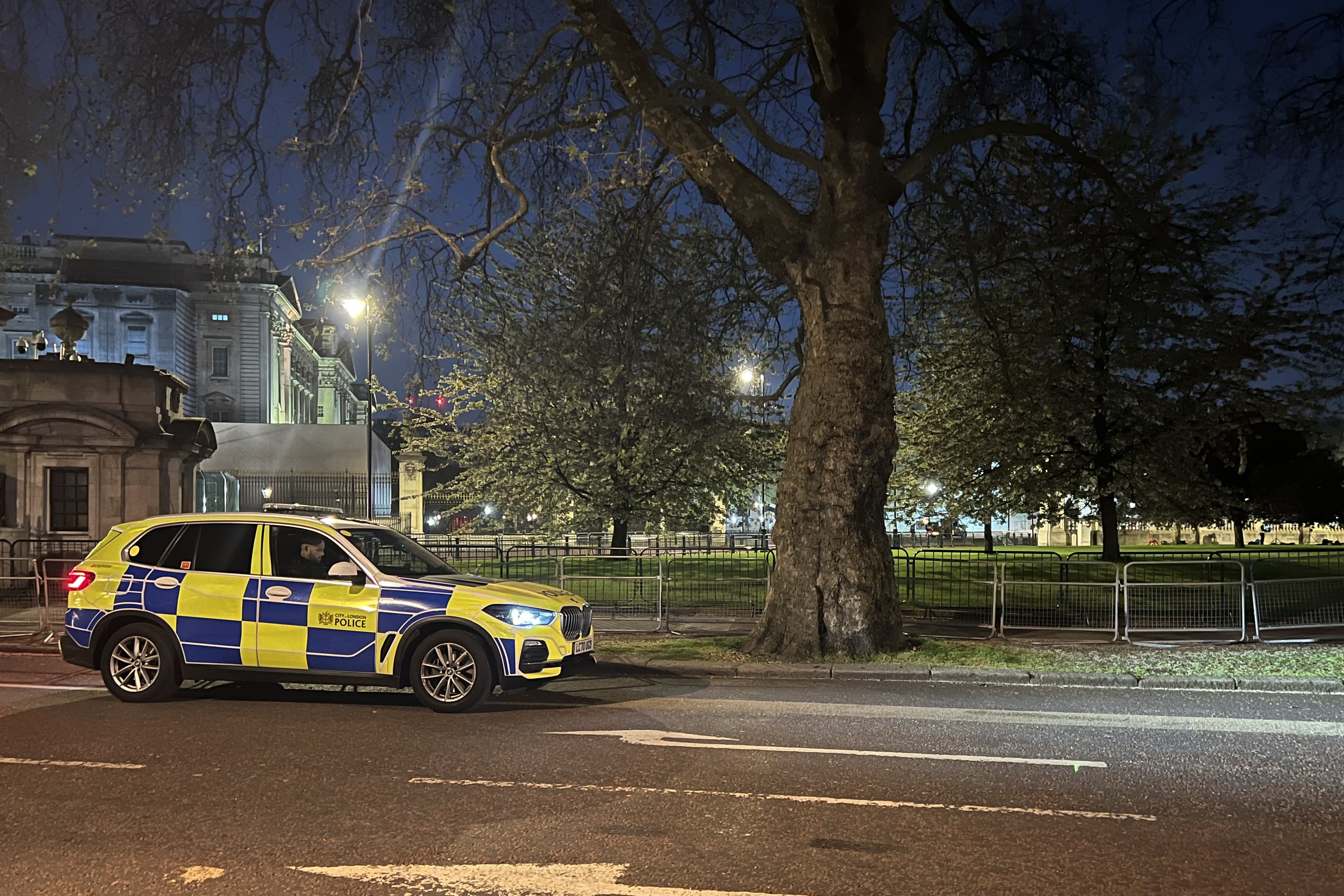 A police car outside Buckingham Palace (Ben Roberts-Haslam/PA)