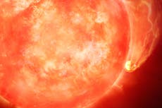 Astronomers spot star swallowing a planet in possible preview of Earth’s fate