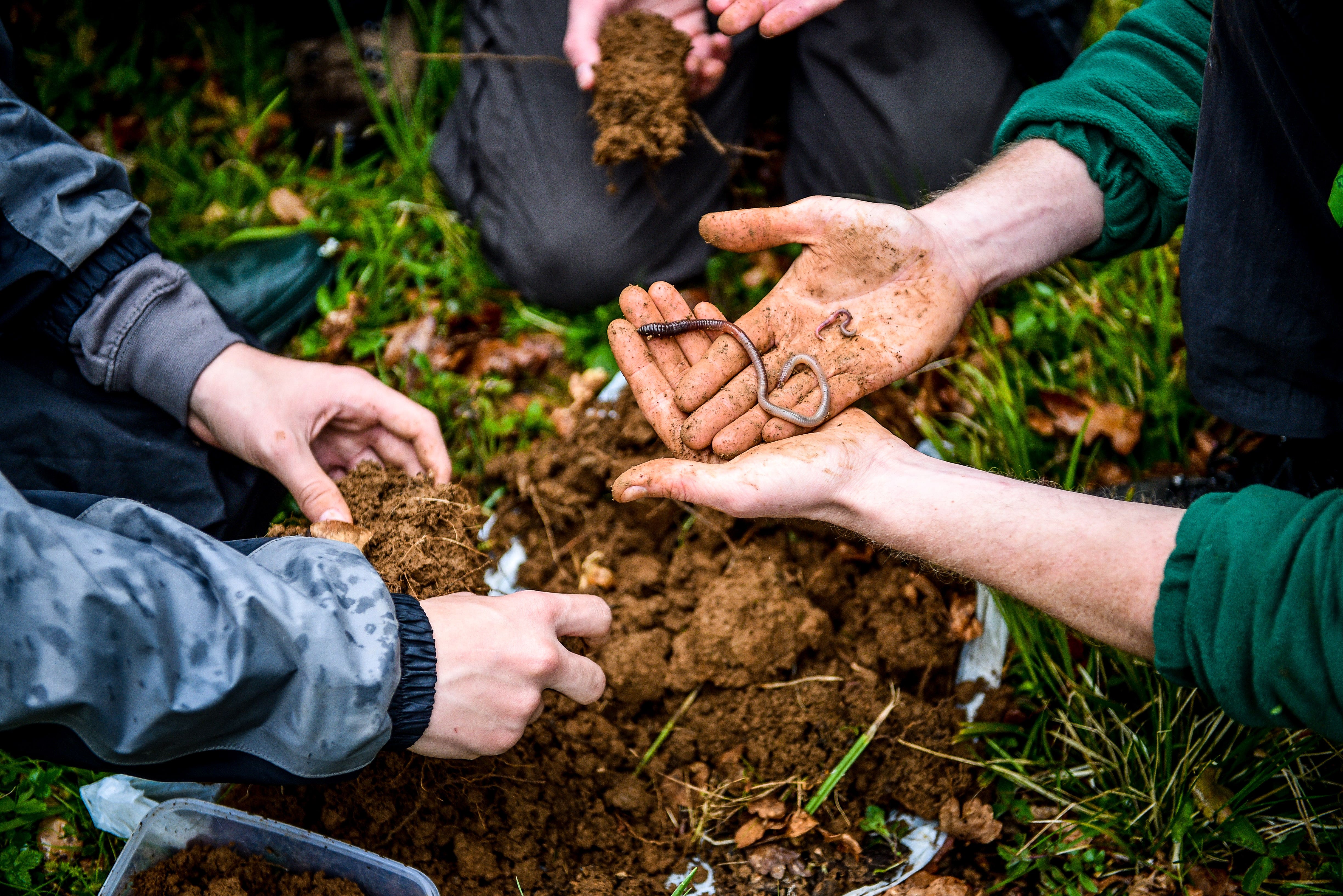 The apprenticeships include countryside worker and forest craftsperson (Ben Birchall/PA)