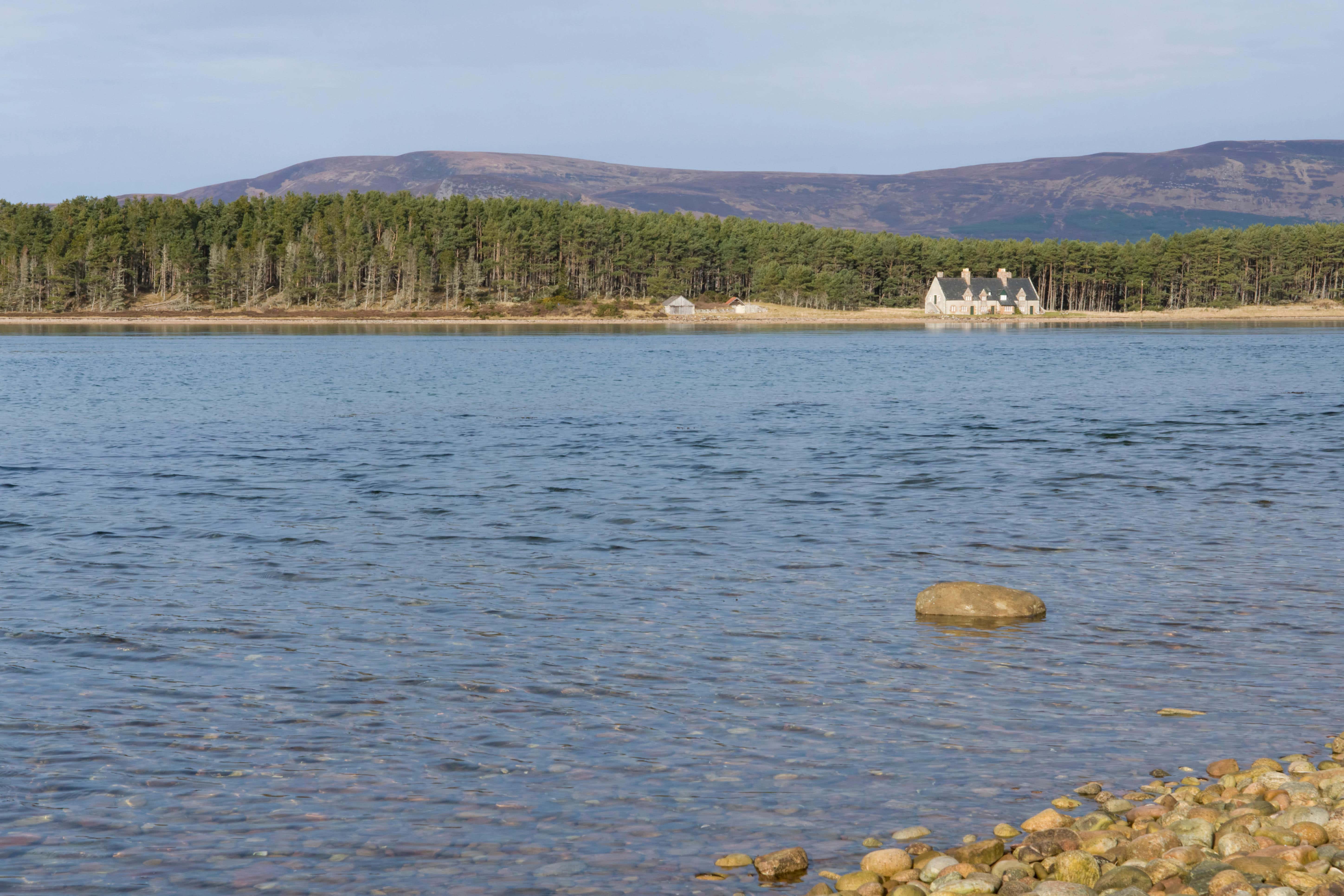 The whale was found at Loch Fleet nature reserve (Alamy/PA)