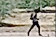 Suspect arrested for murder of Arizona esthetician on desert hiking trail